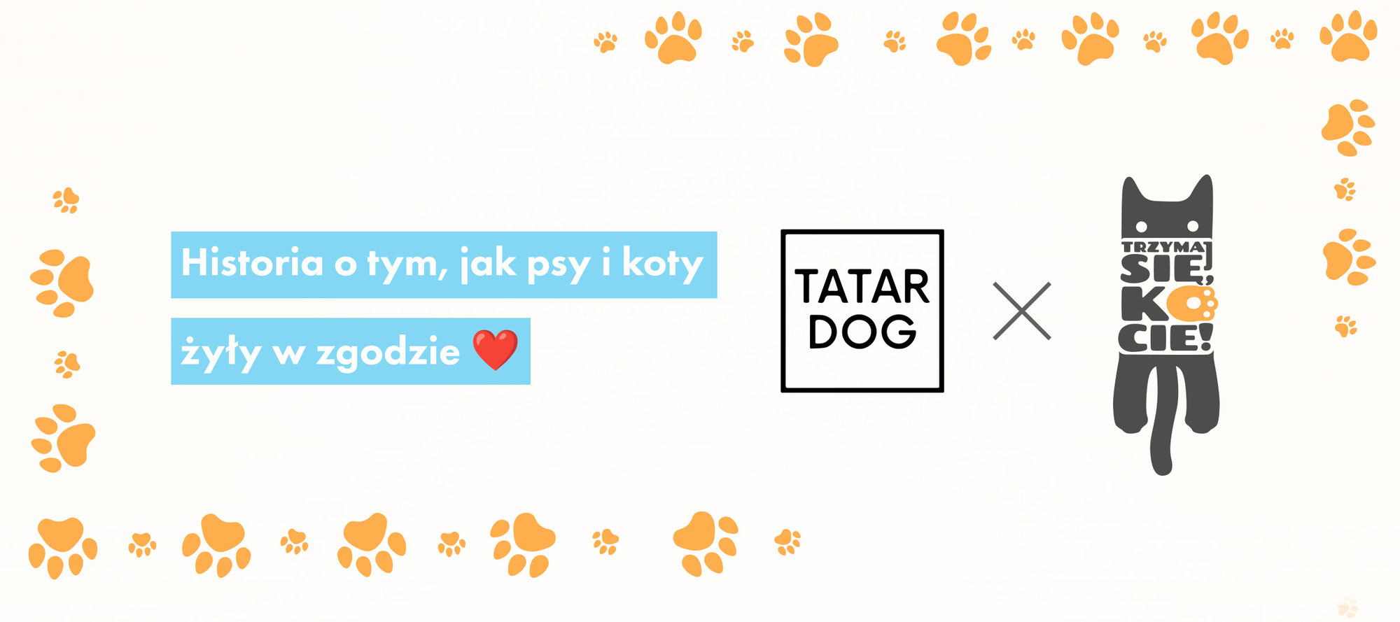 Dobre wieści dla naszej Kociej Załogi!
