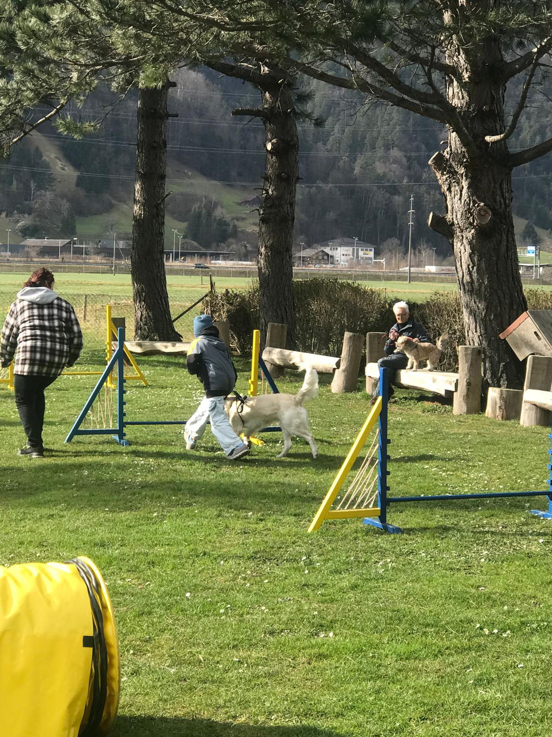 Schnuppertag Jugend und Hund 22. Februar 2025