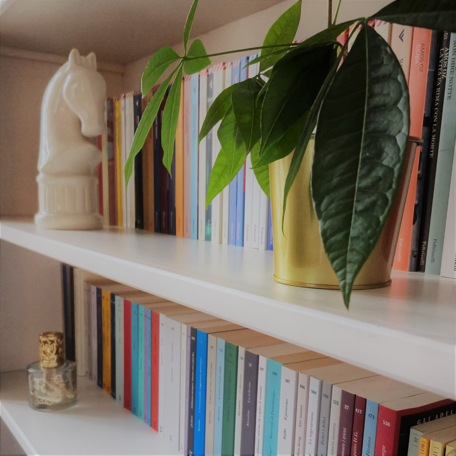 Quando un libro può salvarti la vita
