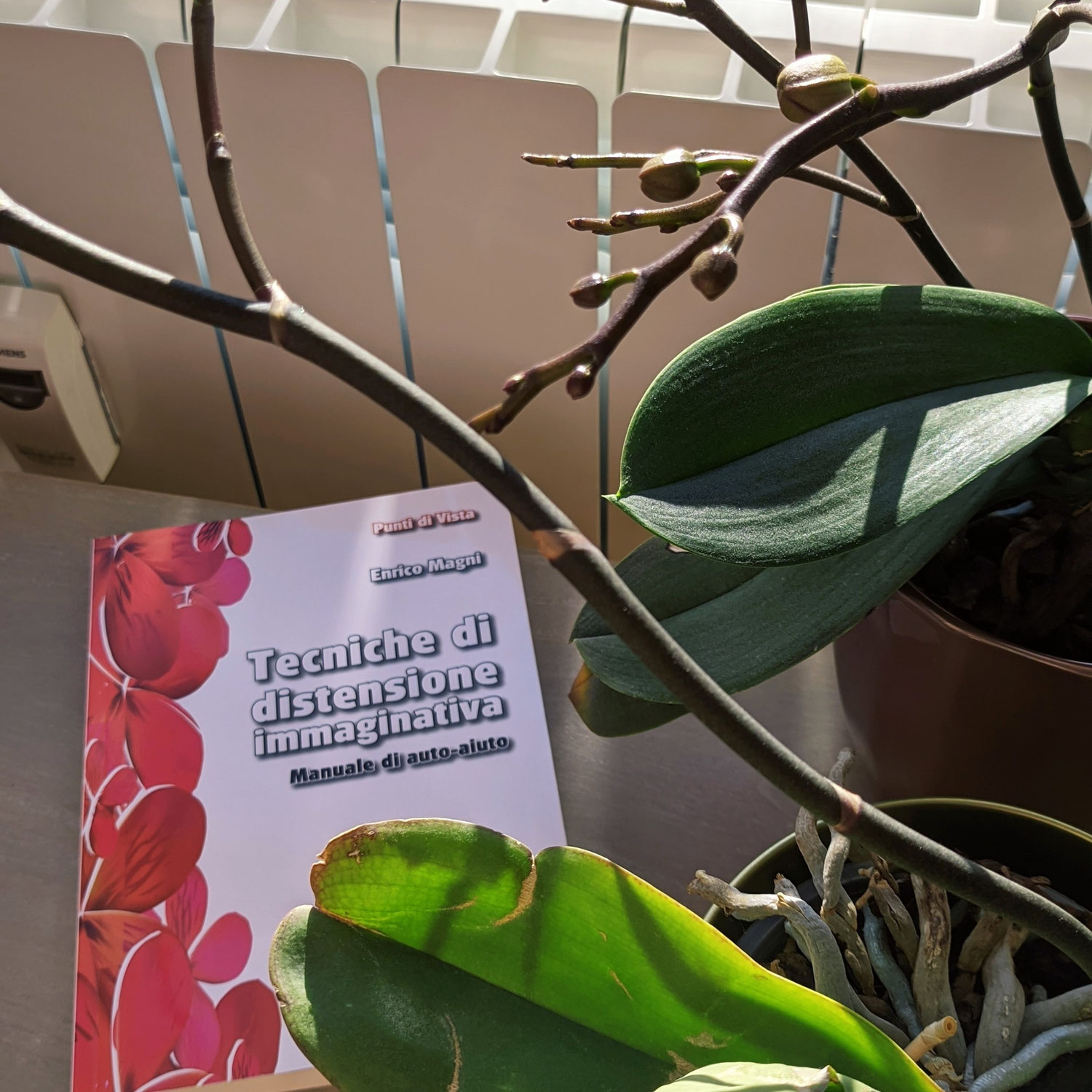 Liber-ando "Tecniche di distensione immaginativa"