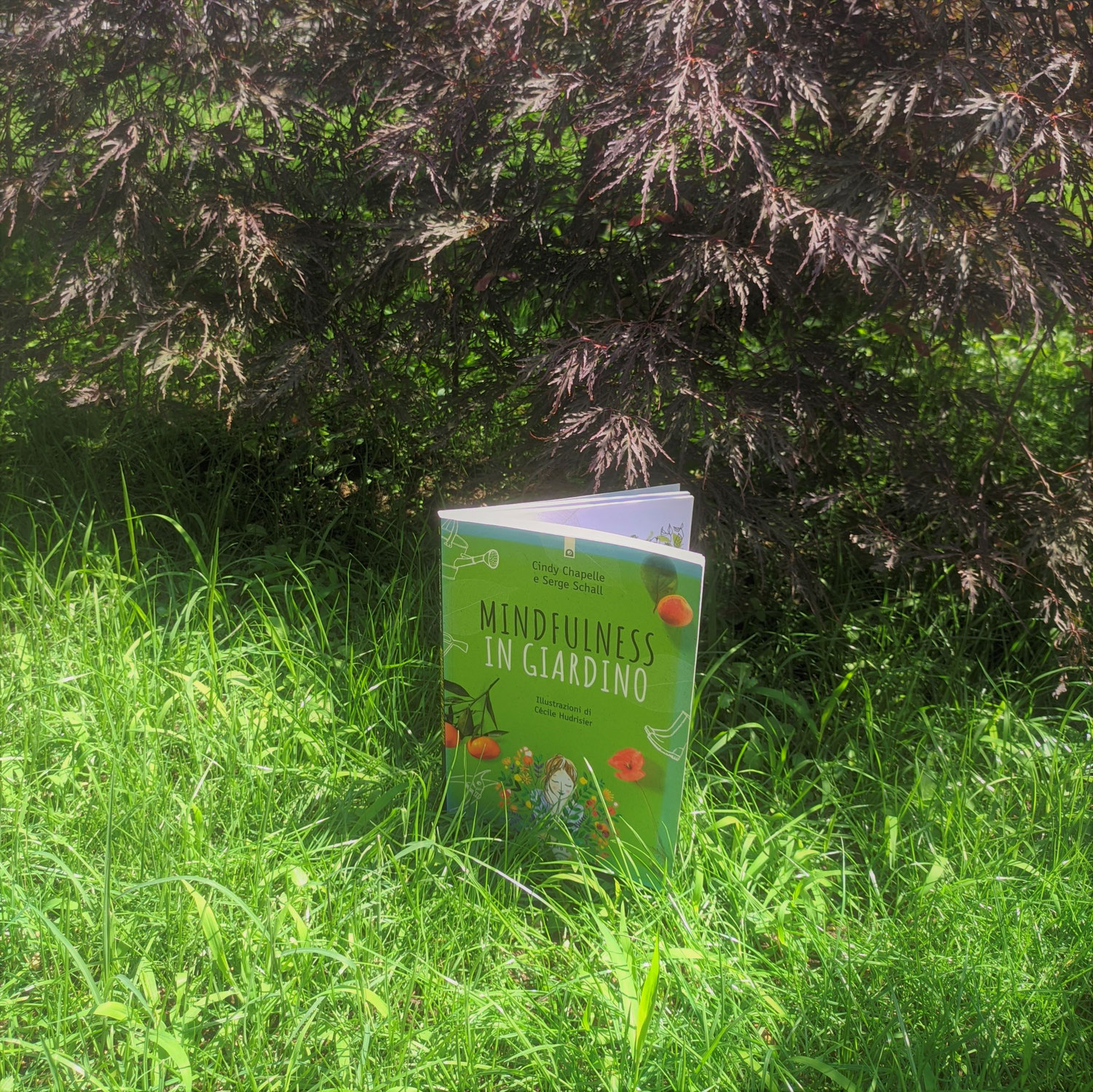 Liber-ando "Mindfulness in giardino"