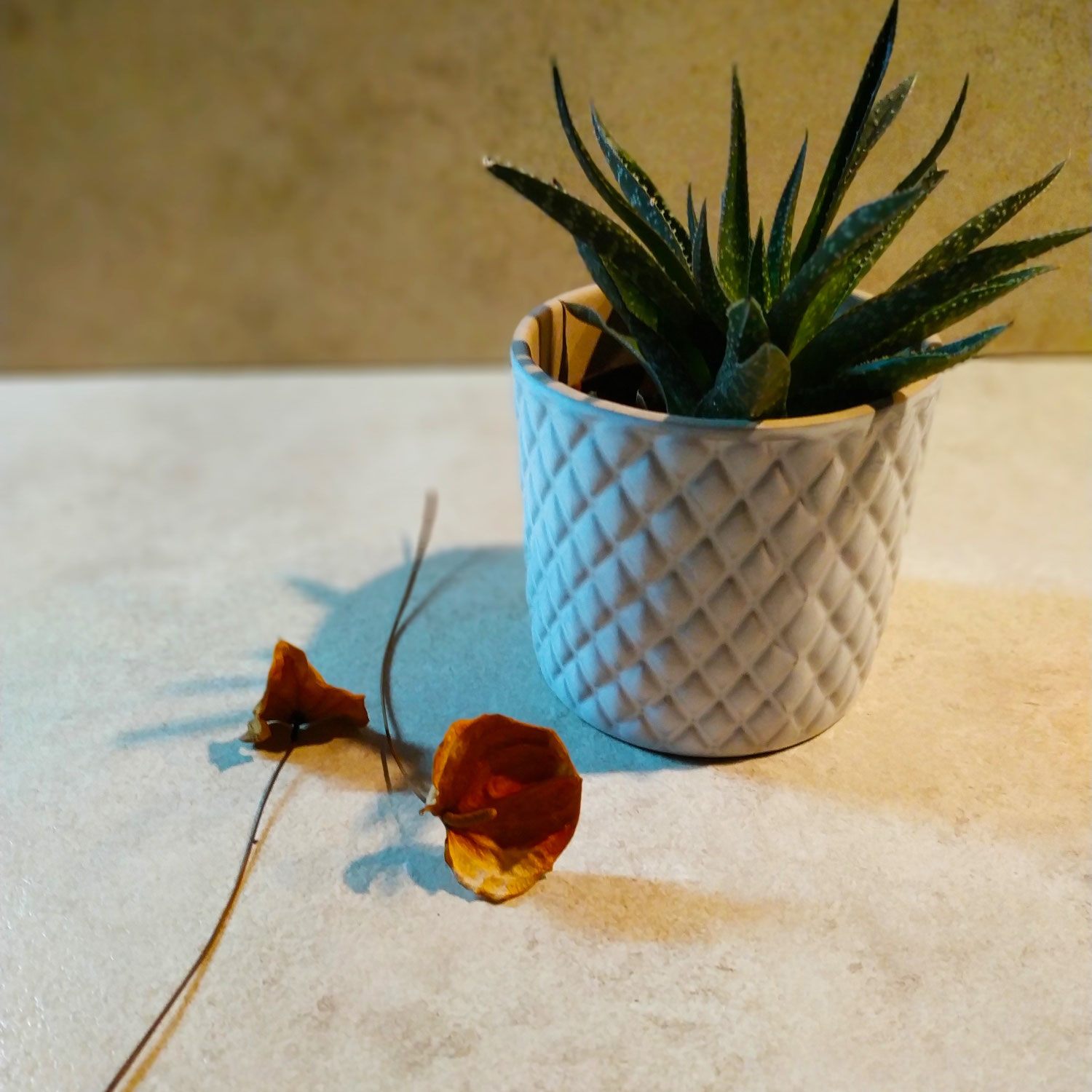 "Nessuno mi capisce davvero!"