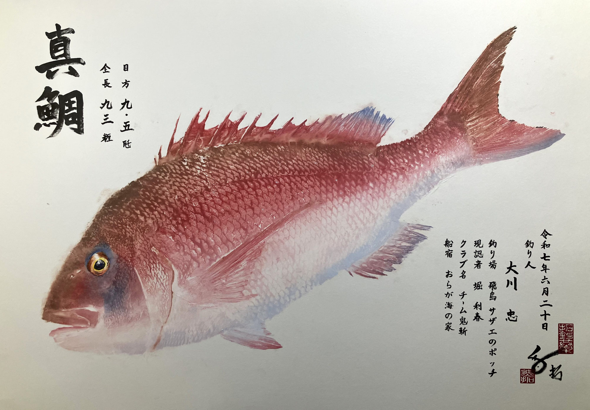 直接法で拓した93㎝真鯛