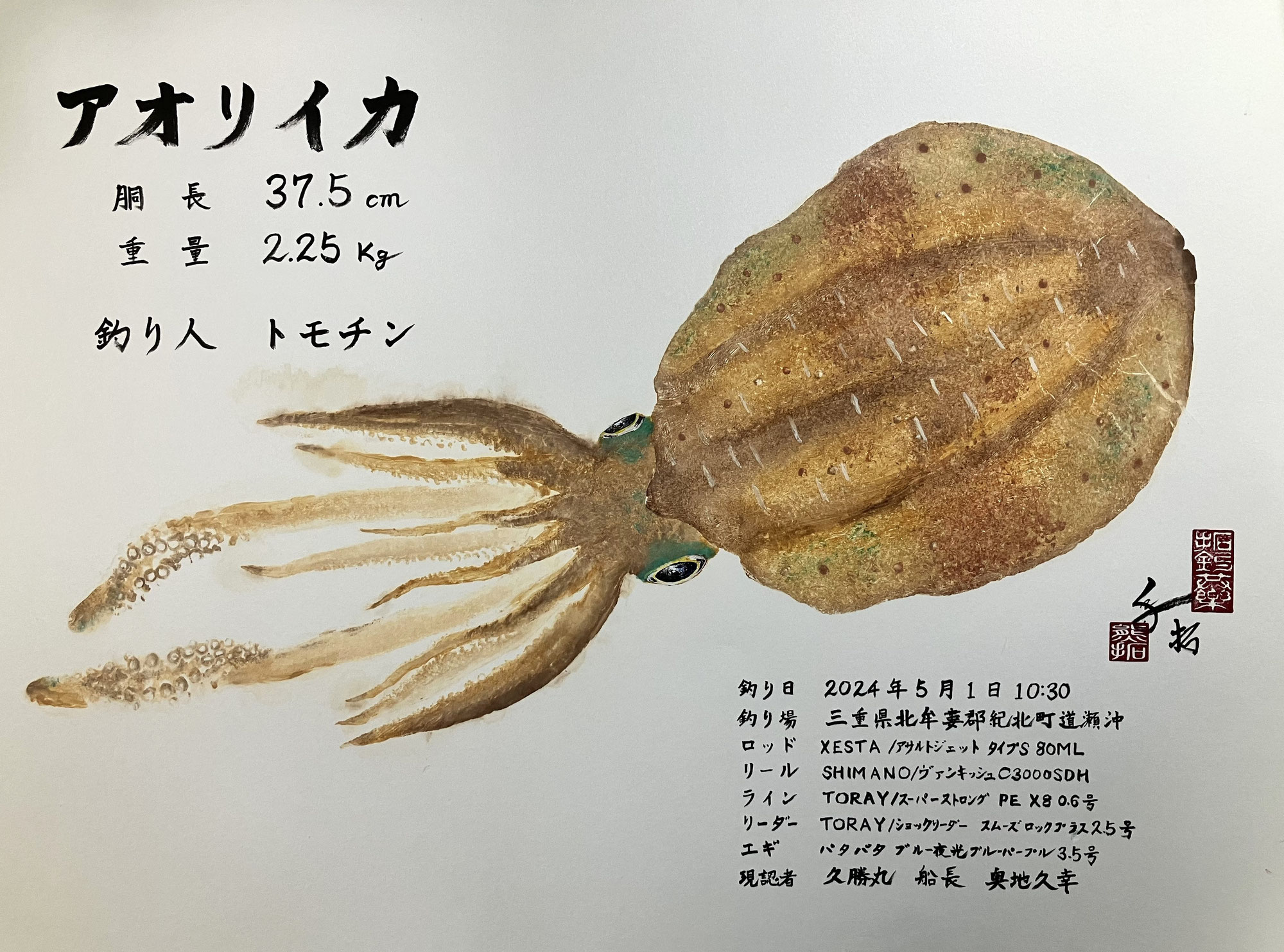 トモチンさんが釣られたアオリイカ