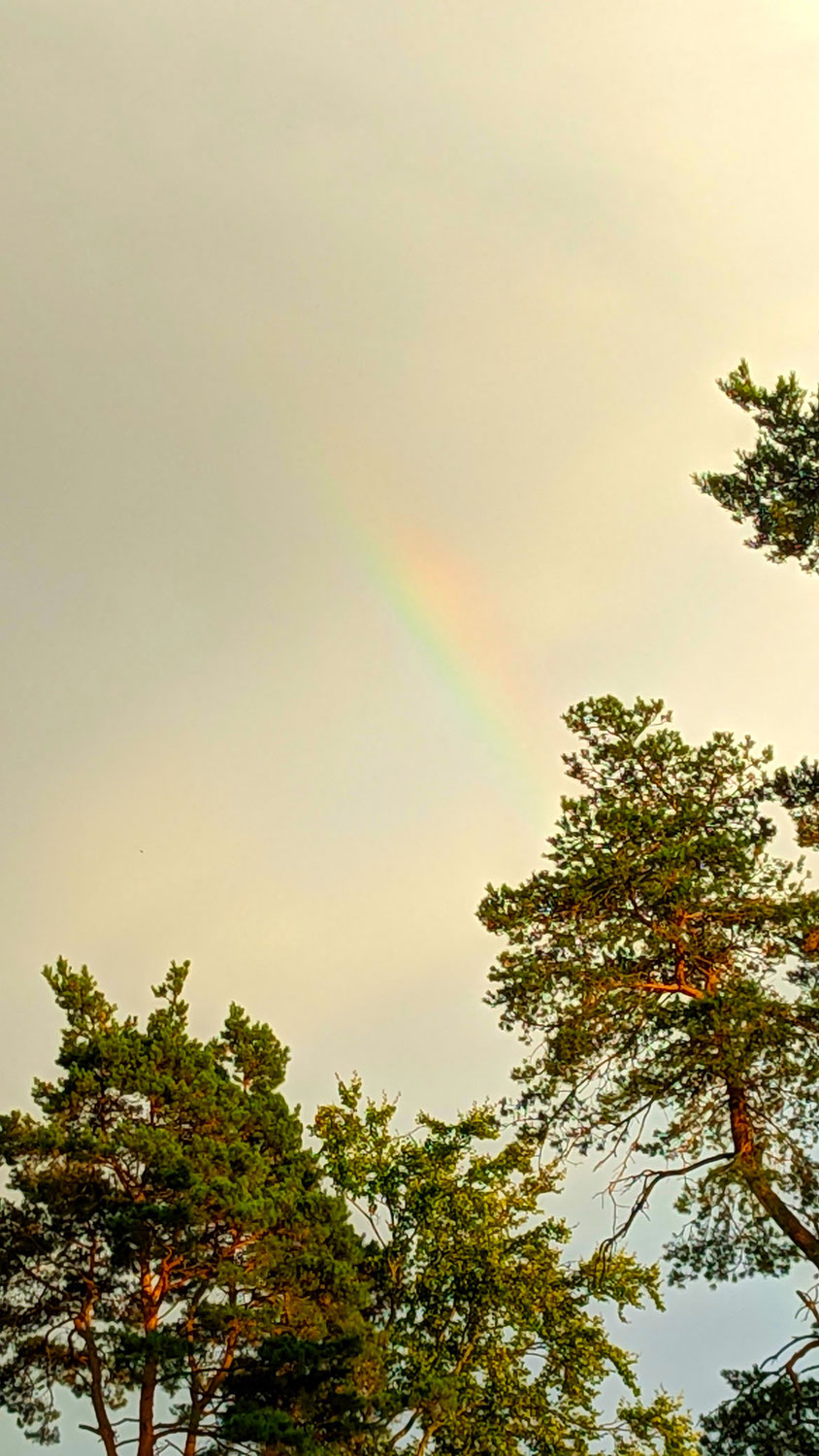 Ich schenk dir einen Regenbogen