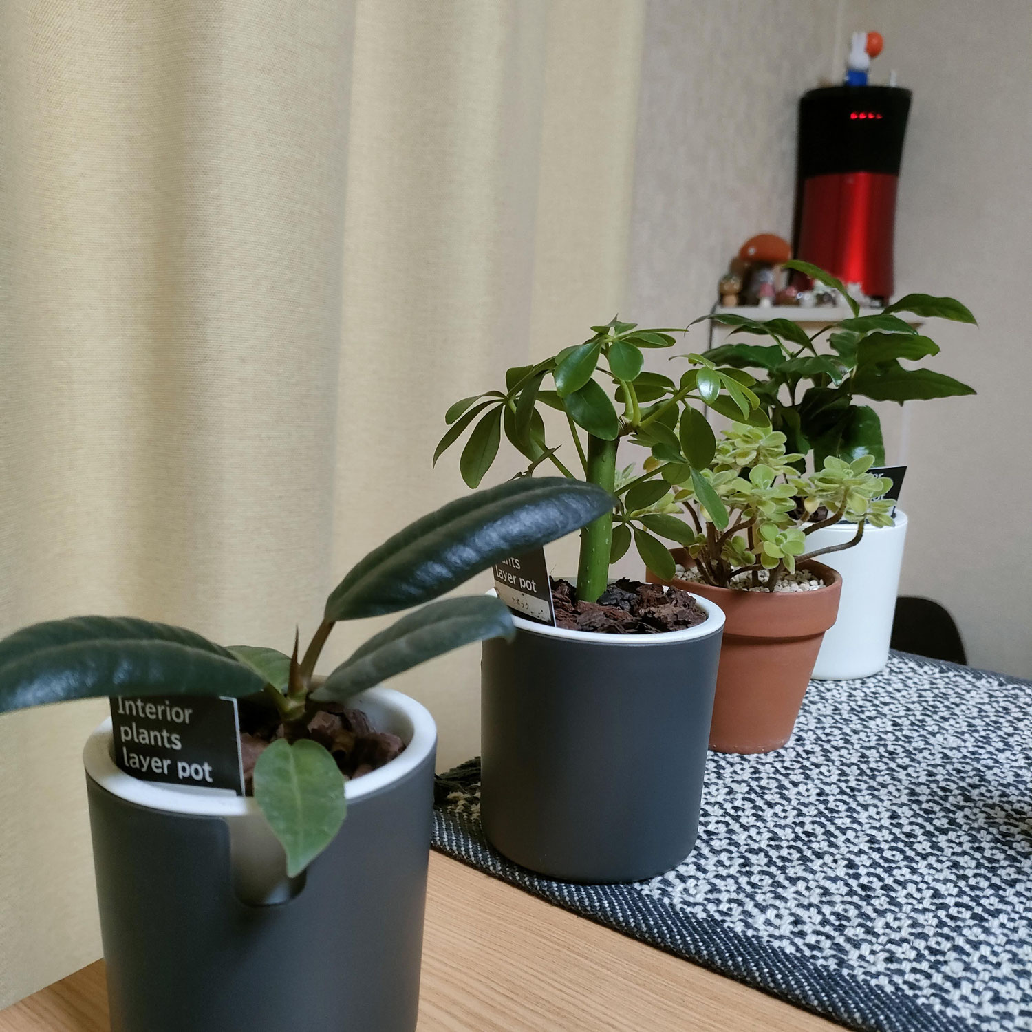近視性脈絡膜新生血管の鍼灸症例｜視界の歪み・視力低下　　（川越市 阿部鍼灸院）