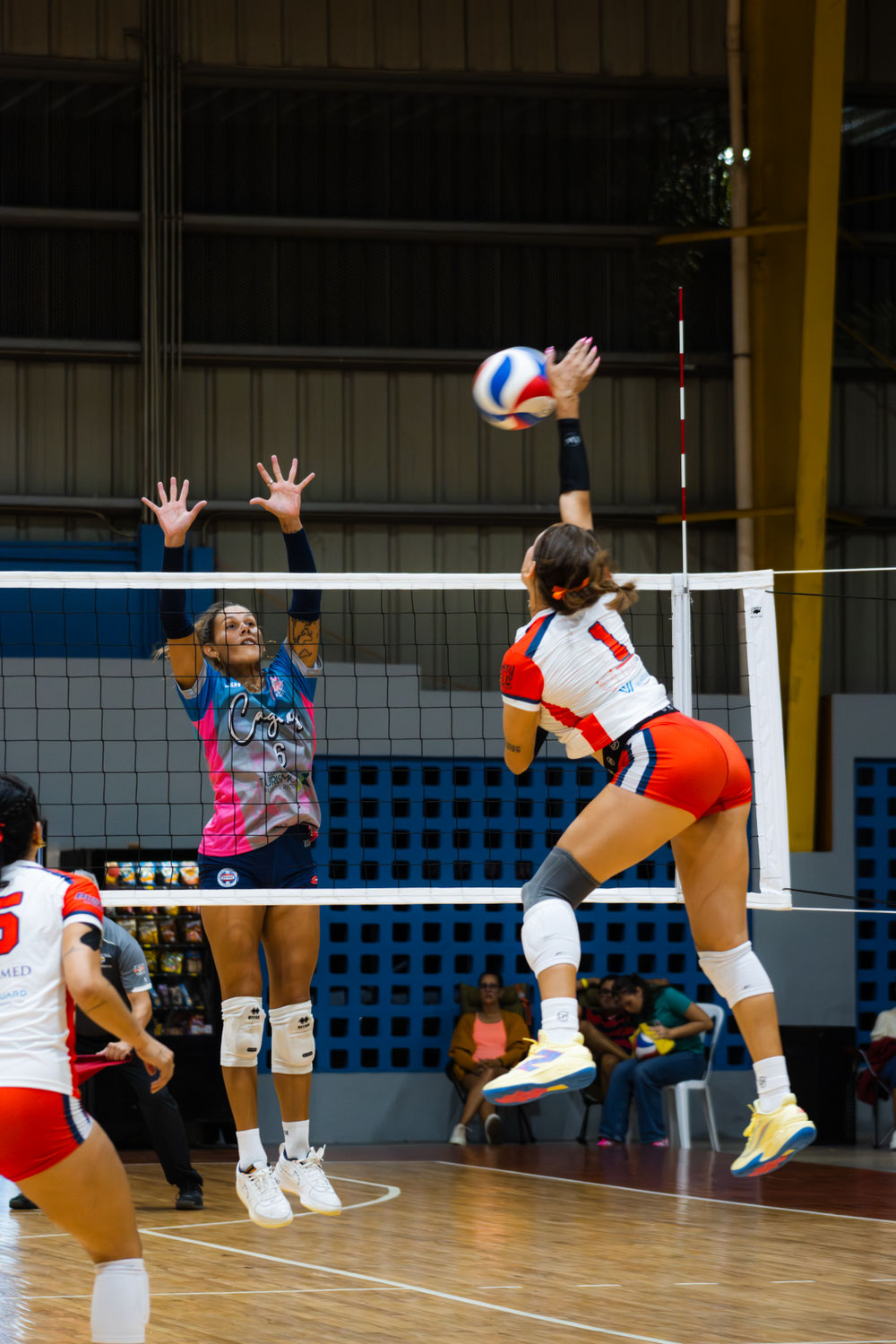 Juego Inaugural: Criollas de Caguas vs Bravas de Cid