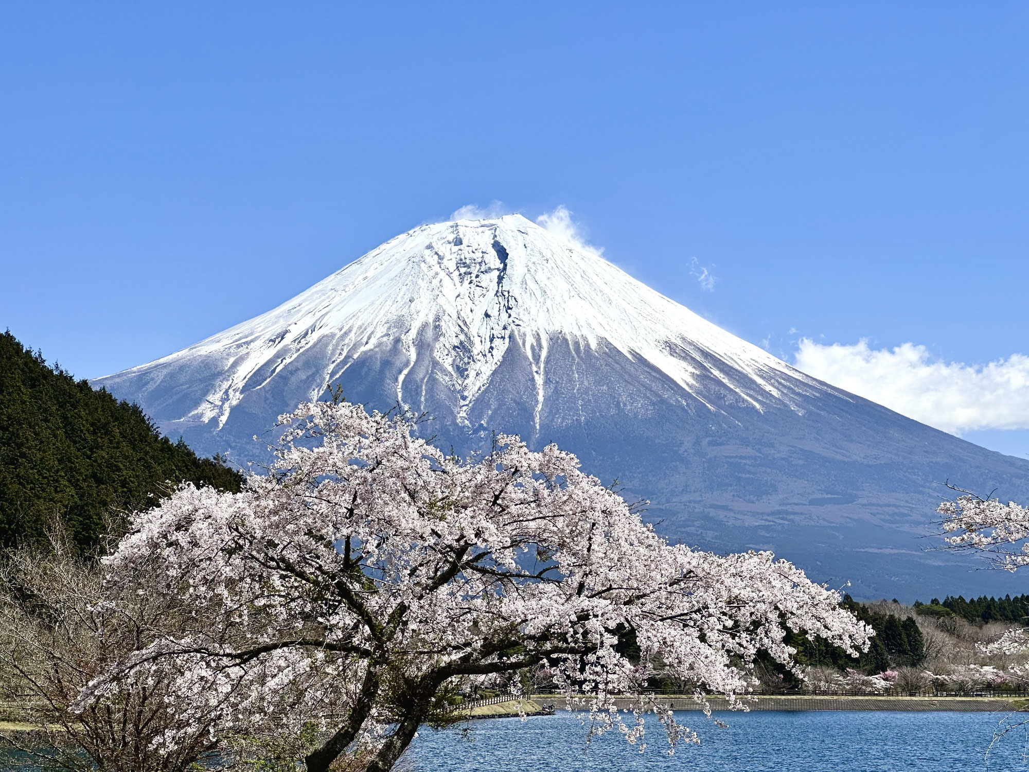 日本のオーバーツーリズムについて考える