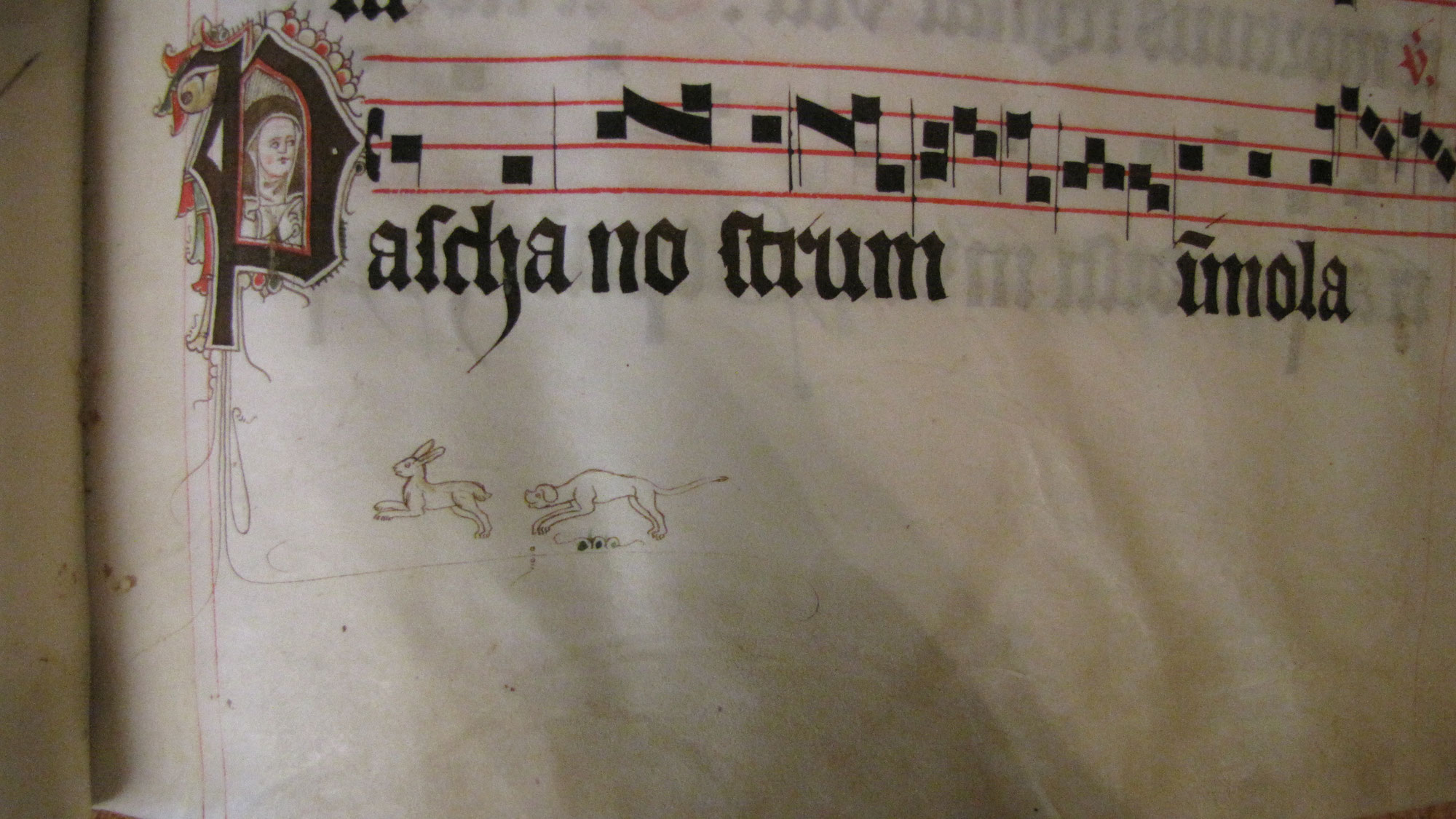 Karikaturen in mittelalterlichen Codizes