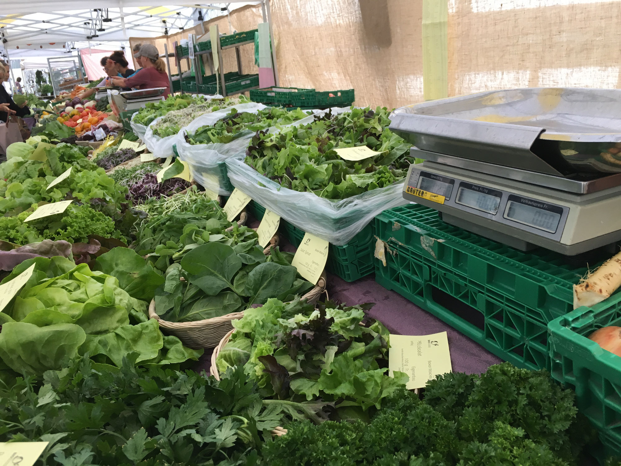 B2B-Firmensuche B2B-Suche Firmen Firma Schweiz