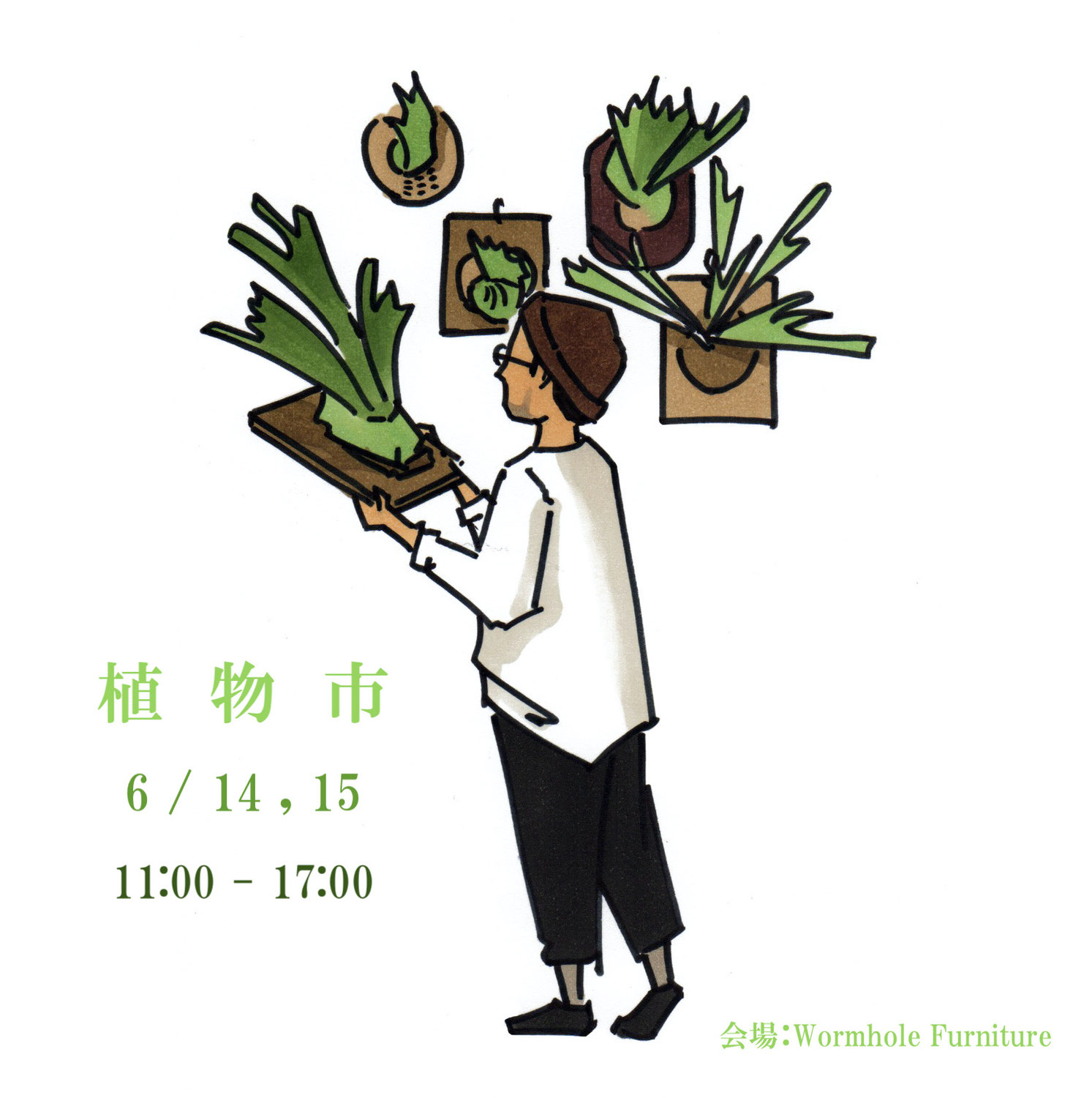 植物市