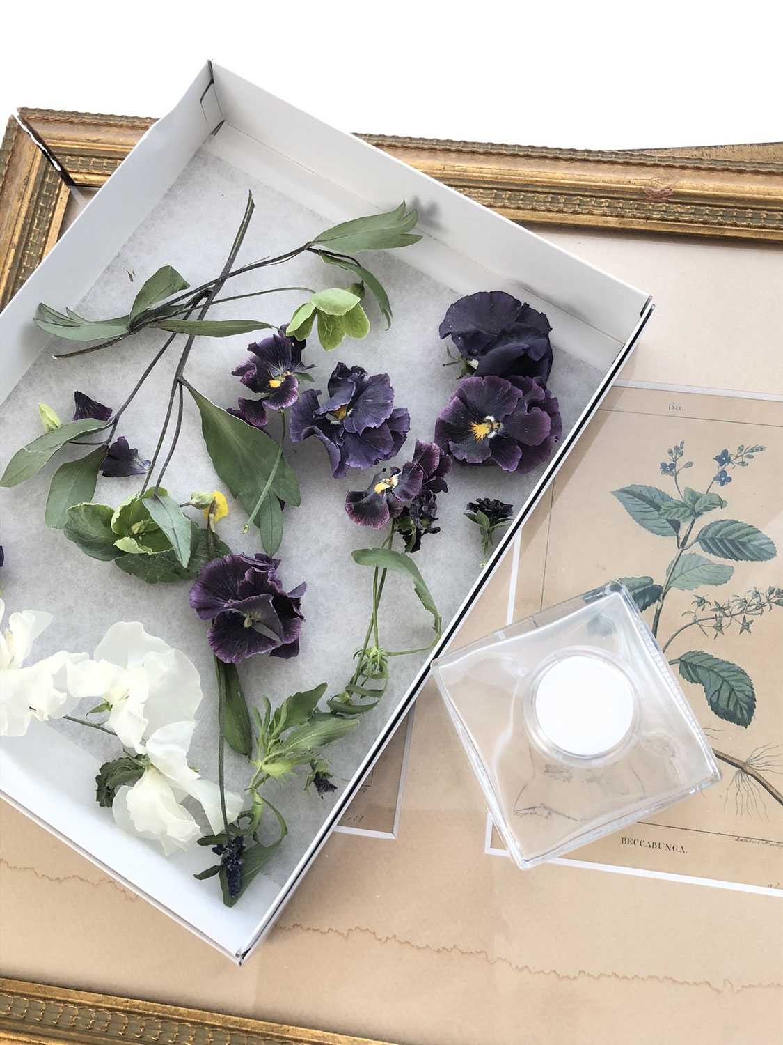 プロポーズ演出に選ばれる”永遠の花”がドラマ級にロマンチック