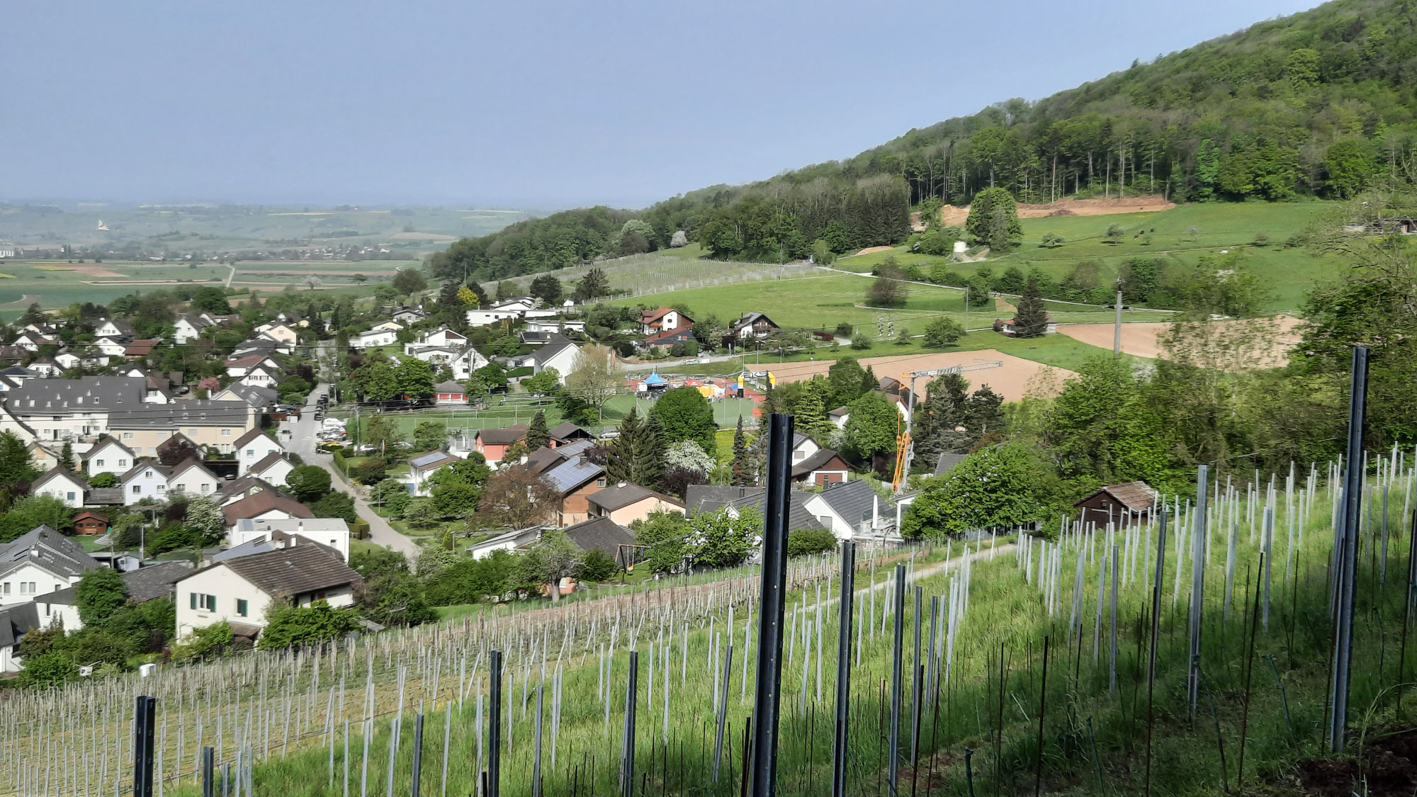 1. Mai-Exkursion 2024 von Löhningen nach Beringen
