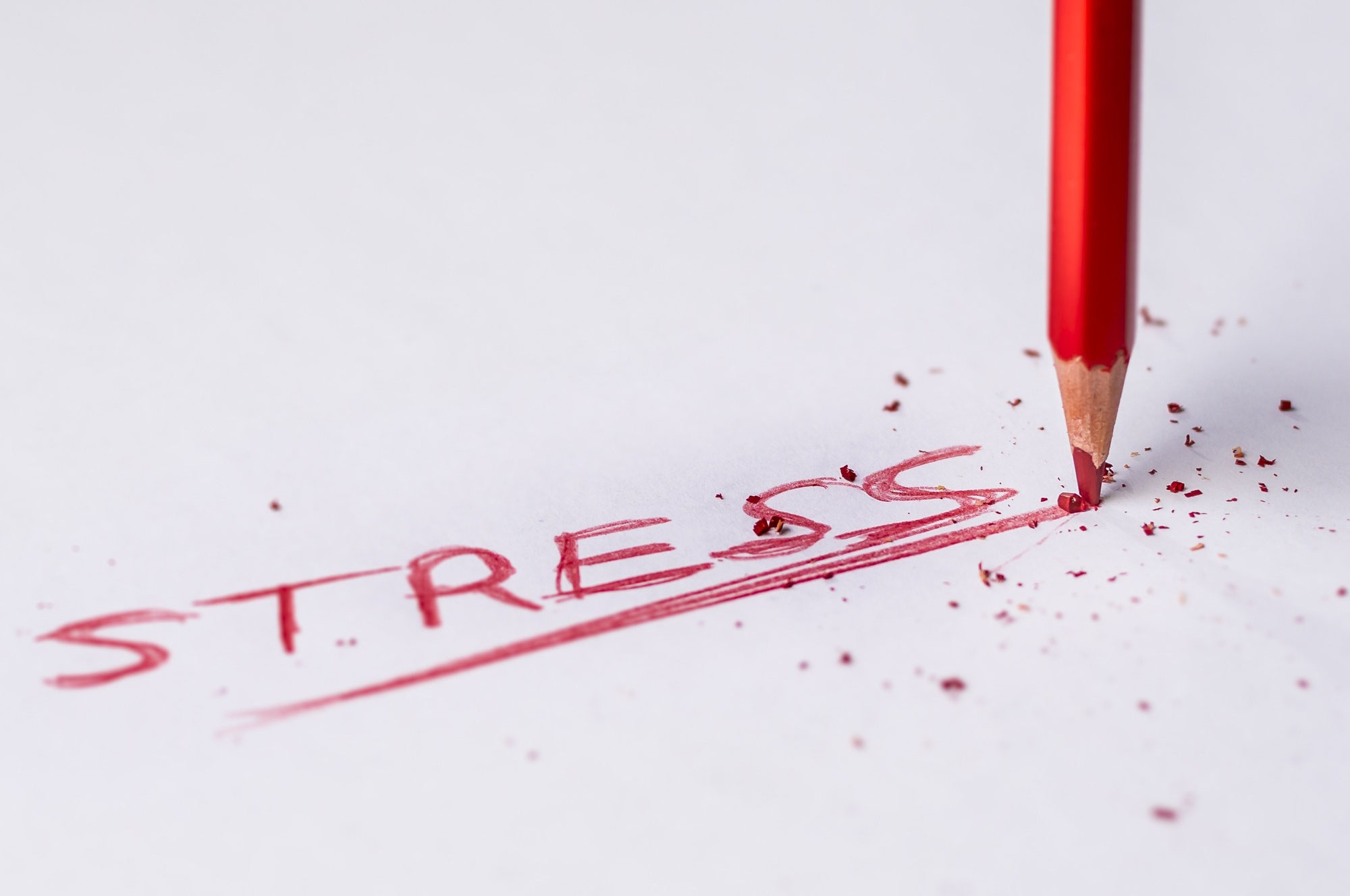 Burnout verstehen und vorbeugen: Ein Leitfaden für mehr Lebensbalance