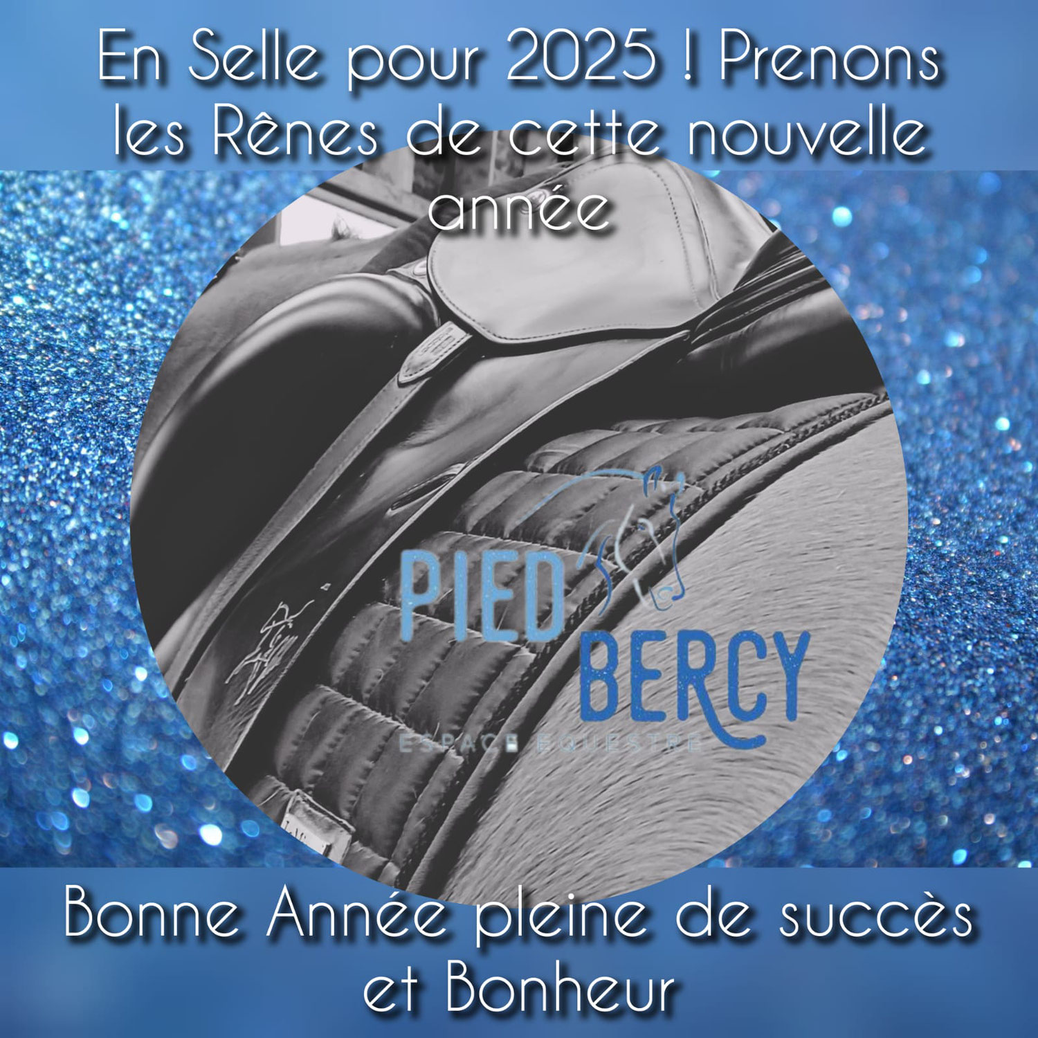 BONNE ANNEE 2025