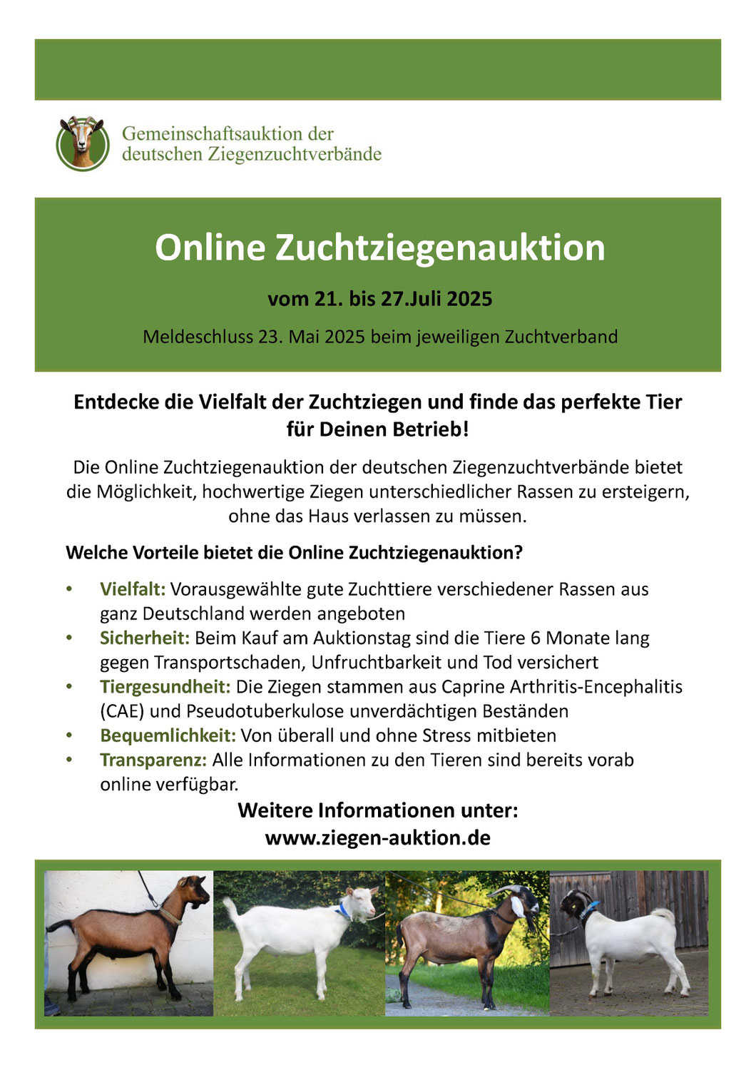 Online Zuchtziegenauktion vom 21. bis 27.Juli 2025