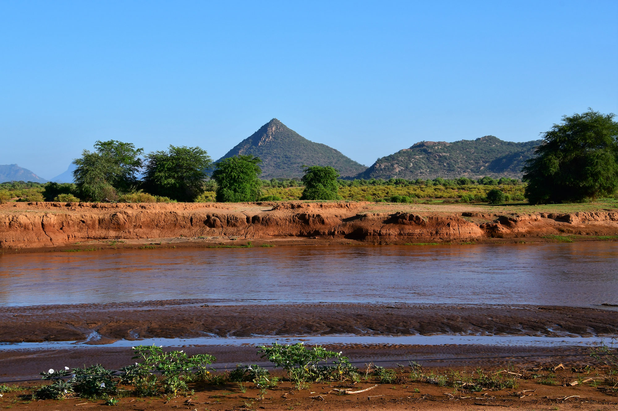 Samburu Special Five