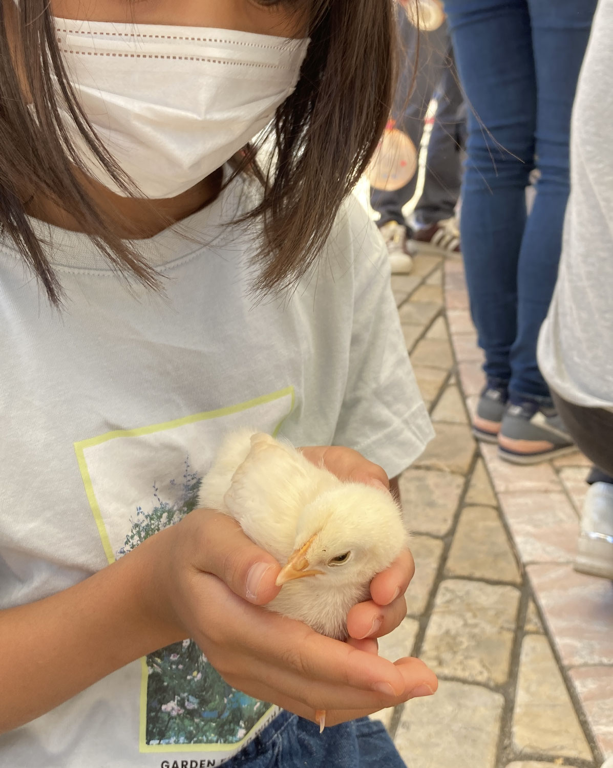 障がい者権利条約