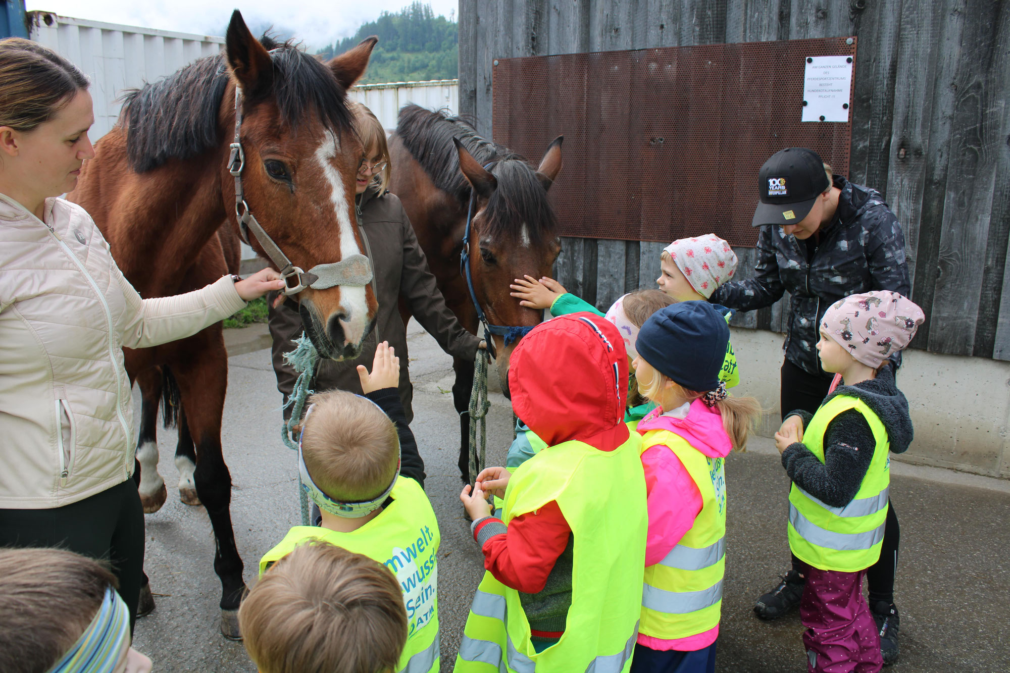 Ein unvergesslicher Ausflug: Der Kindergarten Pill zu Besuch im Pferdesportzentrum Volders
