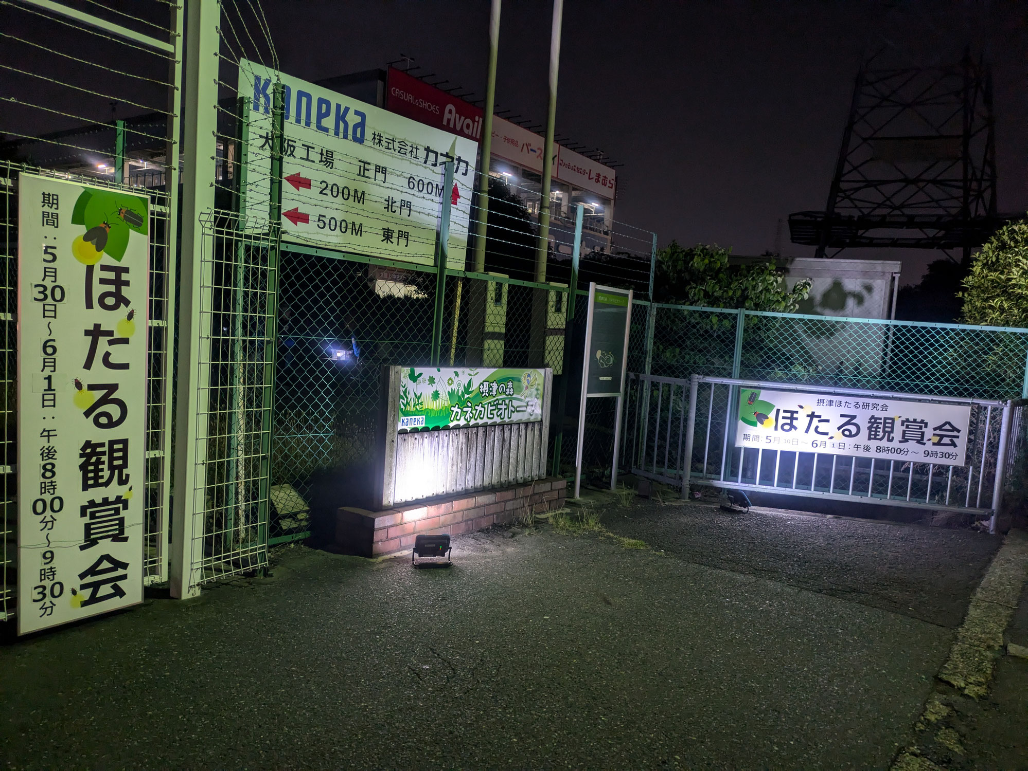 ほたる観賞会を開催しました！