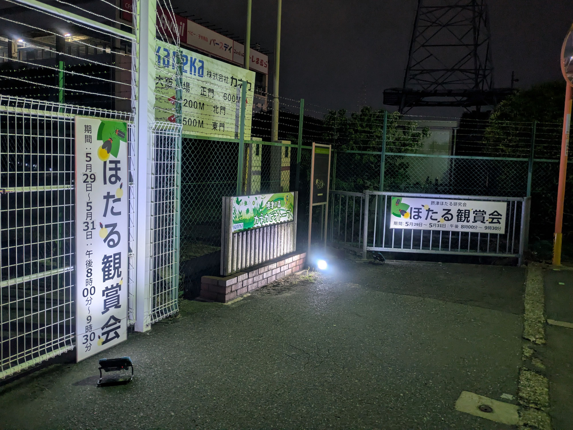 ほたる観賞会を開催しました！