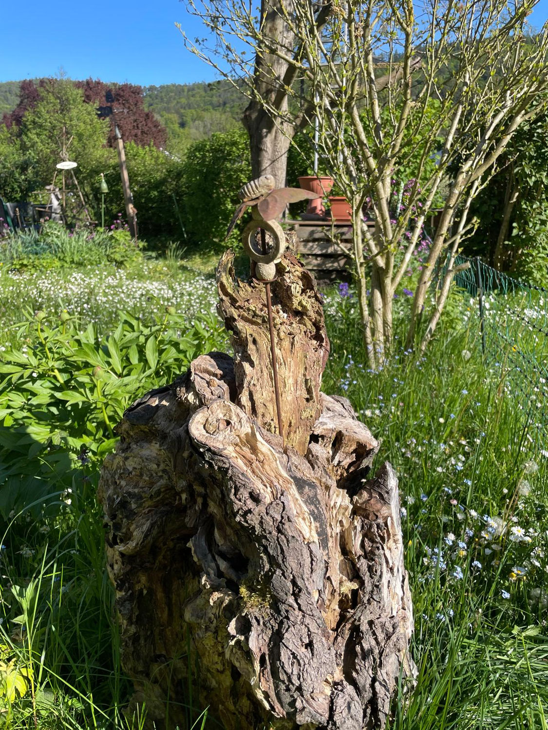 Lass wachsen – wie eine Vielfalt im Garten entstehen kann
