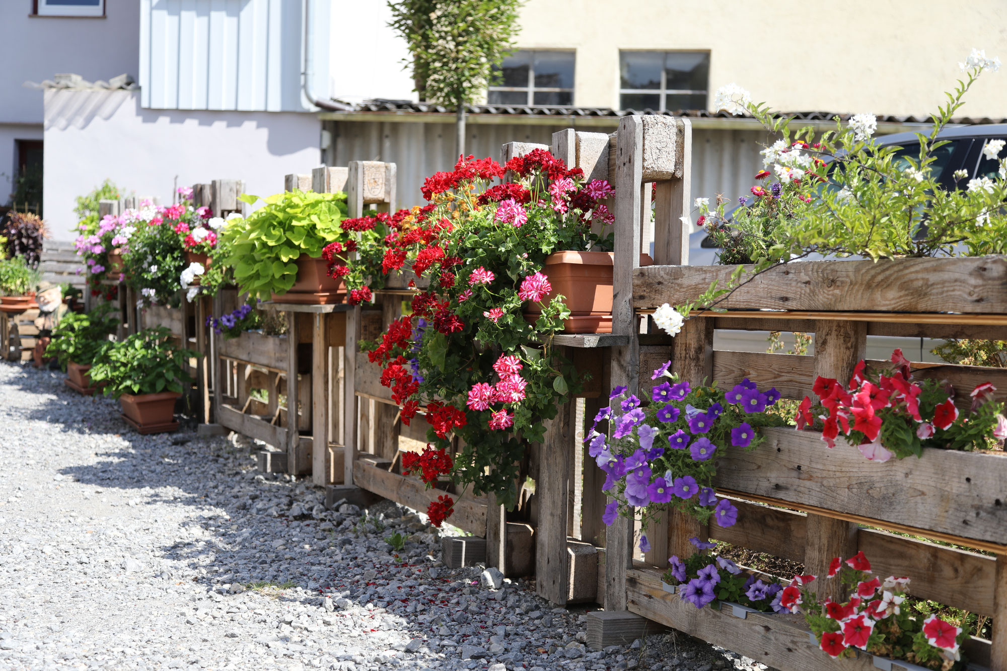 Abschlussabend Blumenschmuck 03.12.2022