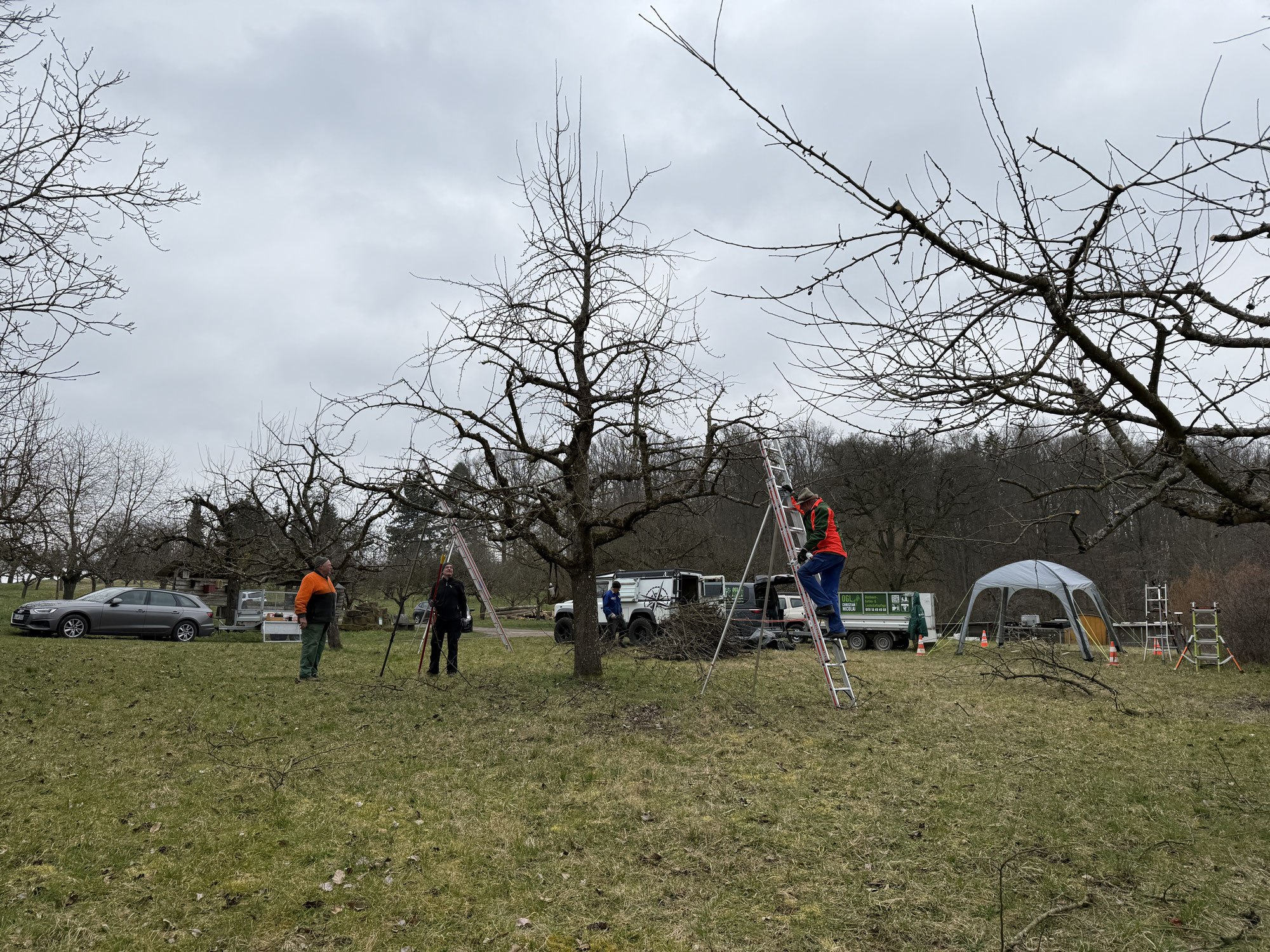 Streuobstpflegetag Obstsortengarten 15.03.2025