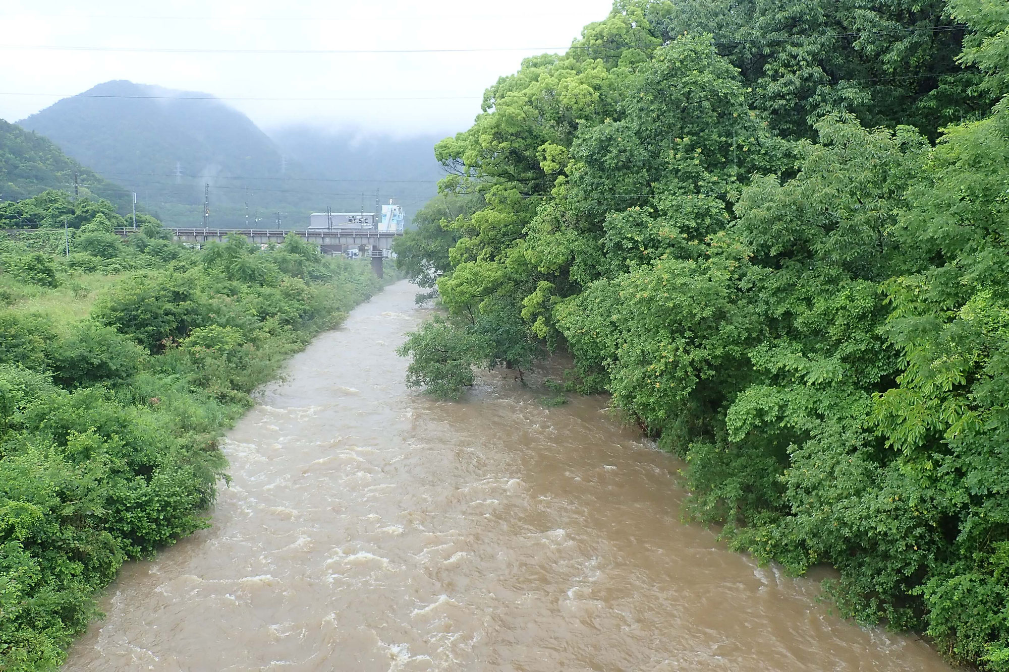 梅雨の季節の健康法。