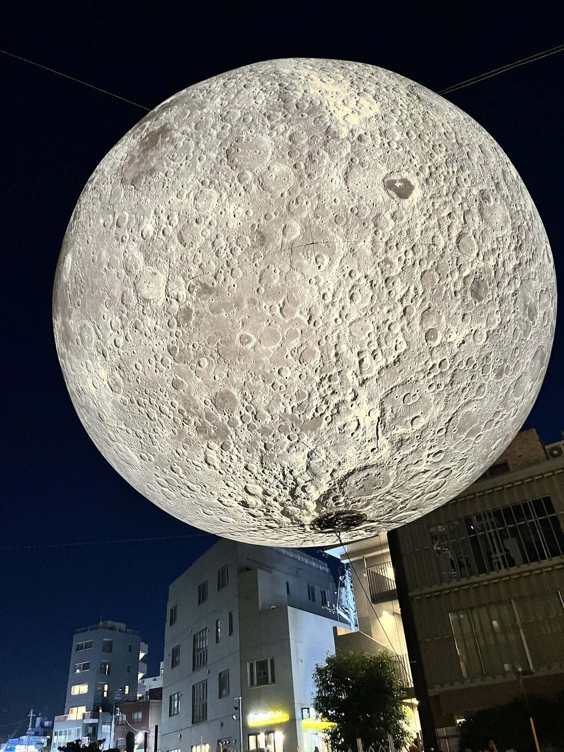 月のパワーを頂いちゃう！