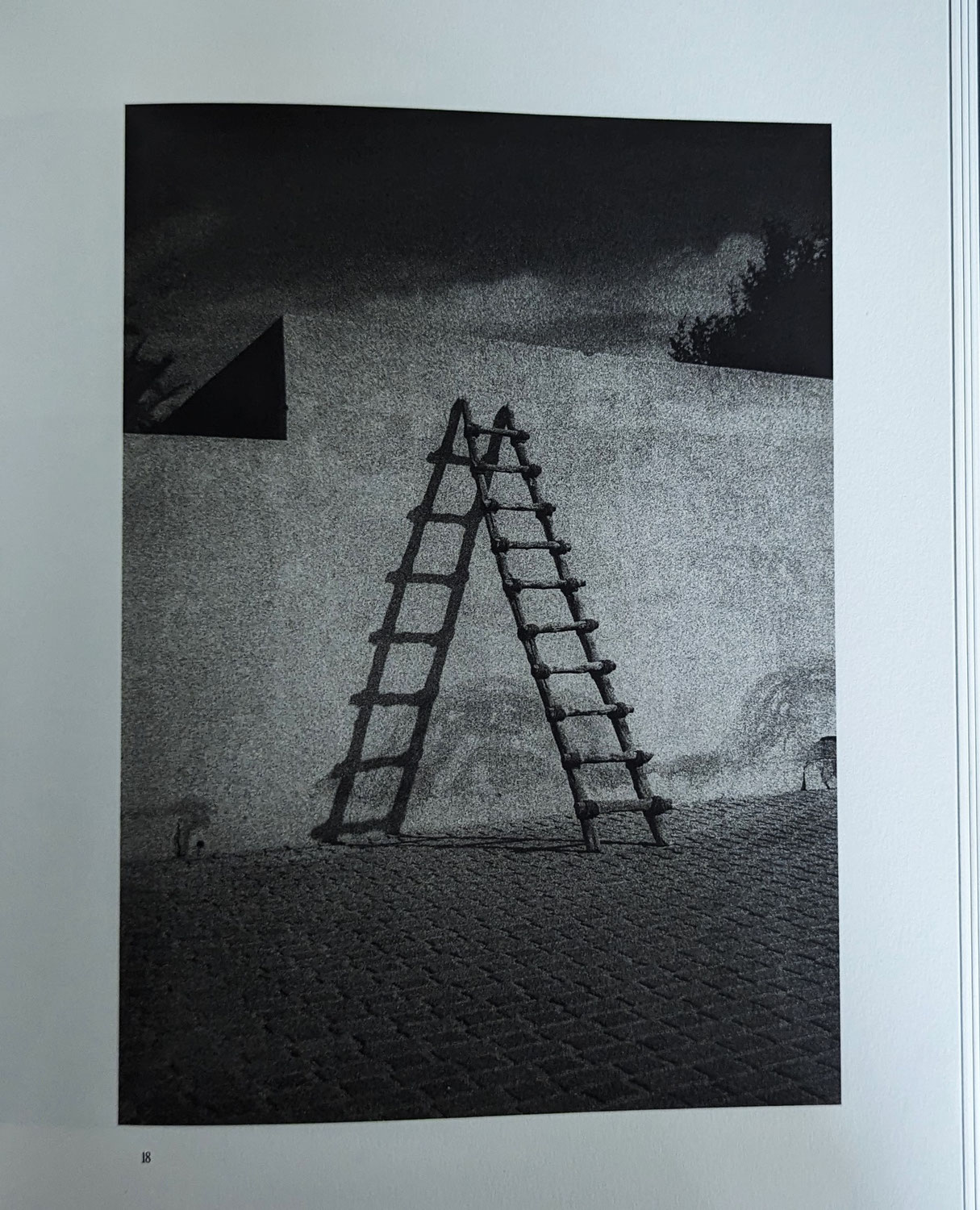 Les vrais faux amis de Dominic Turner