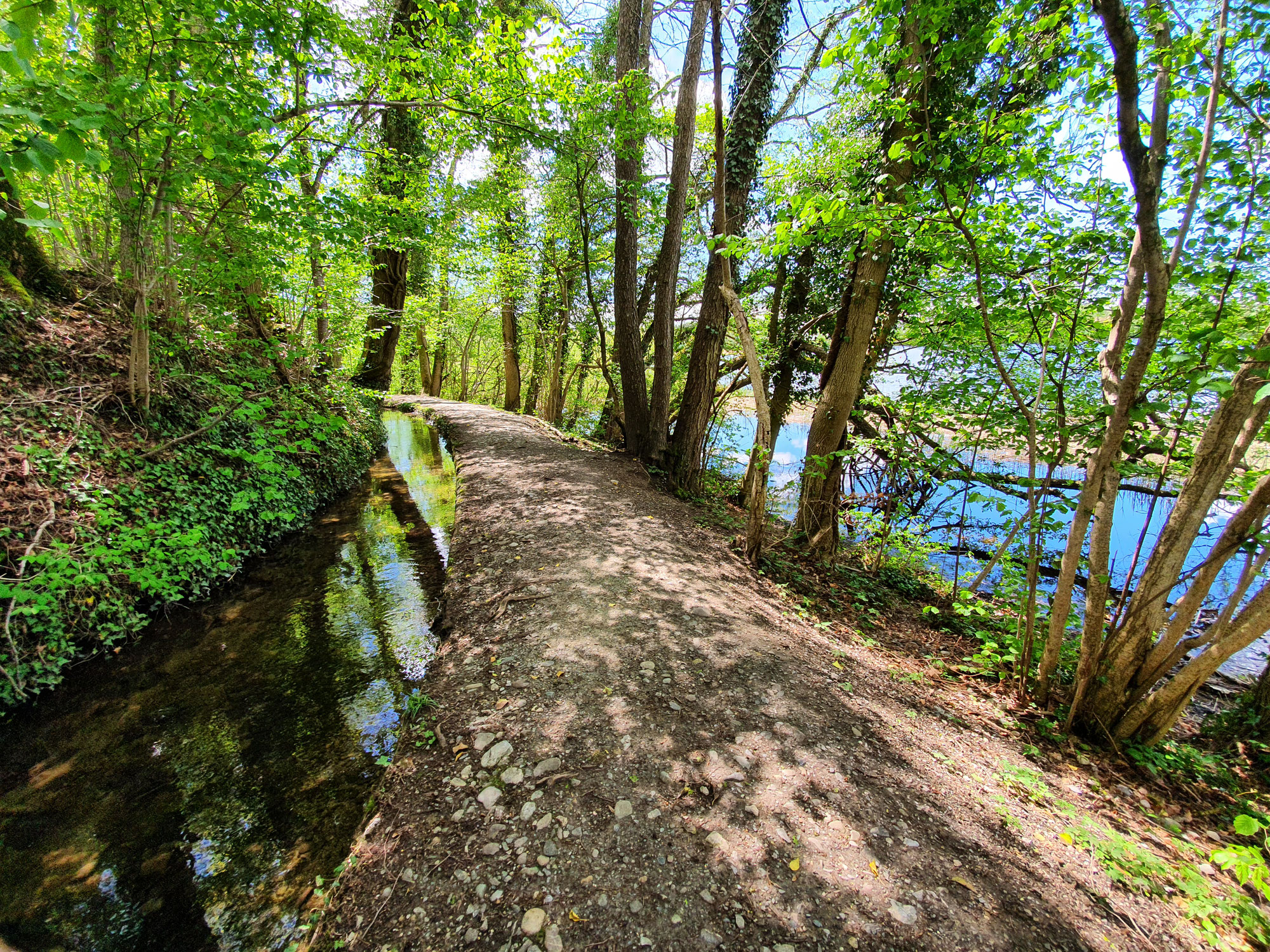 Wanderung bei Weingarten, Ravensburg