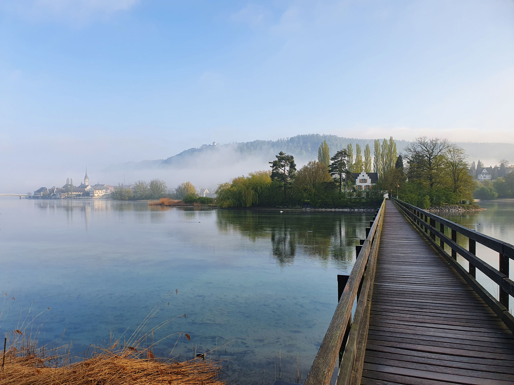 Frühmorgens auf das Inseli Werd bei Eschenz