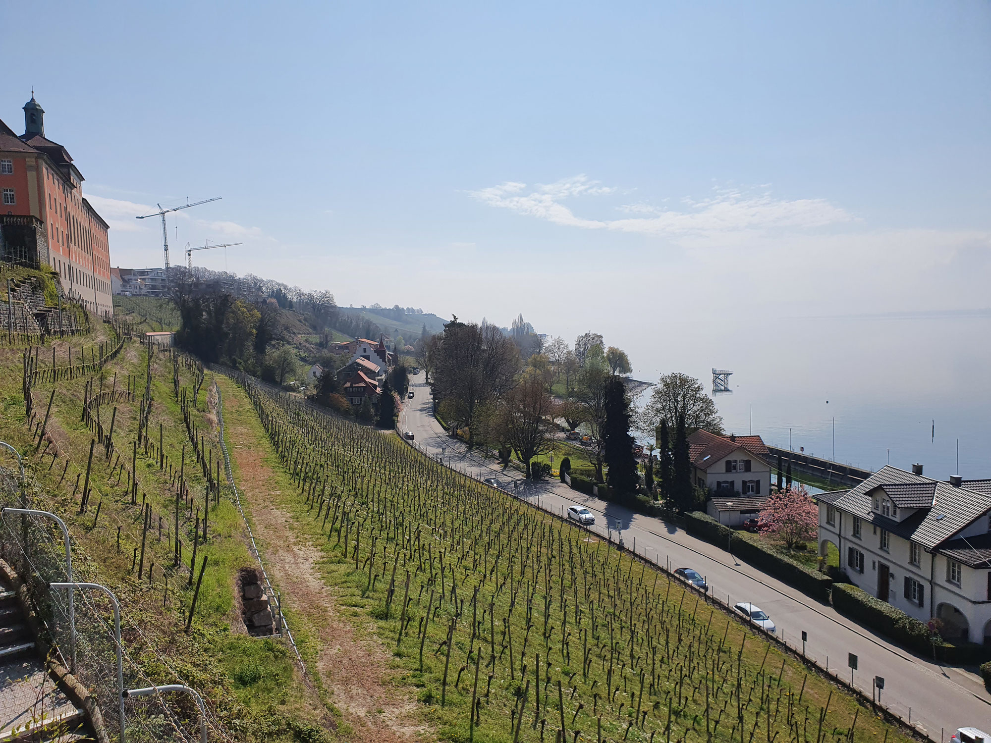 Ausflug nach Meersburg