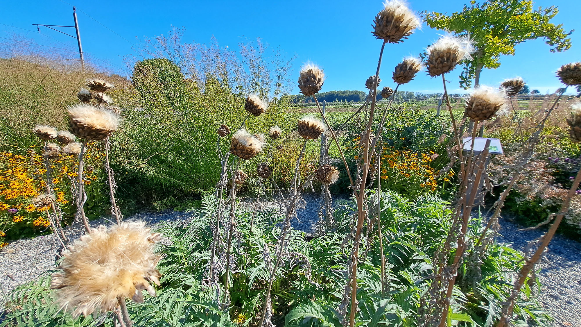 Zeller Schaugarten