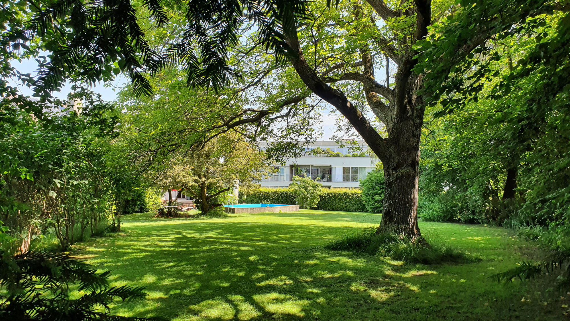 Der Garten im Juni