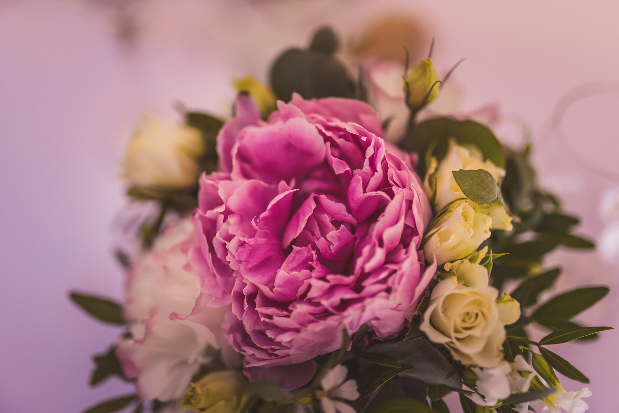 Decouvrez Tous Les Avis Sur Day Photographies Offrez Vous Le Meilleur Photographe De Mariage Portrait Maternite Du Golfe De Saint Tropez Var Decouvrez Tous Les Avis Sur Day Photographies Offrez Vous Le Meilleur Photographe De Mariage Portrait Maternite Du Golfe De Saint Tropez Var