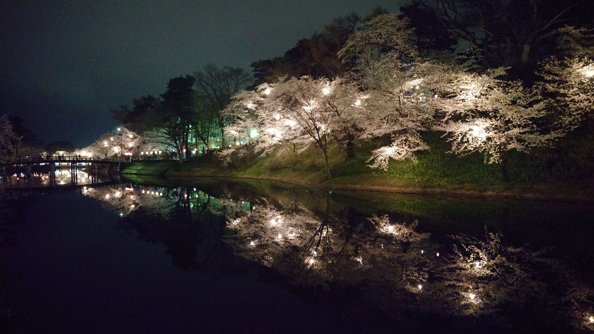 観桜会2025