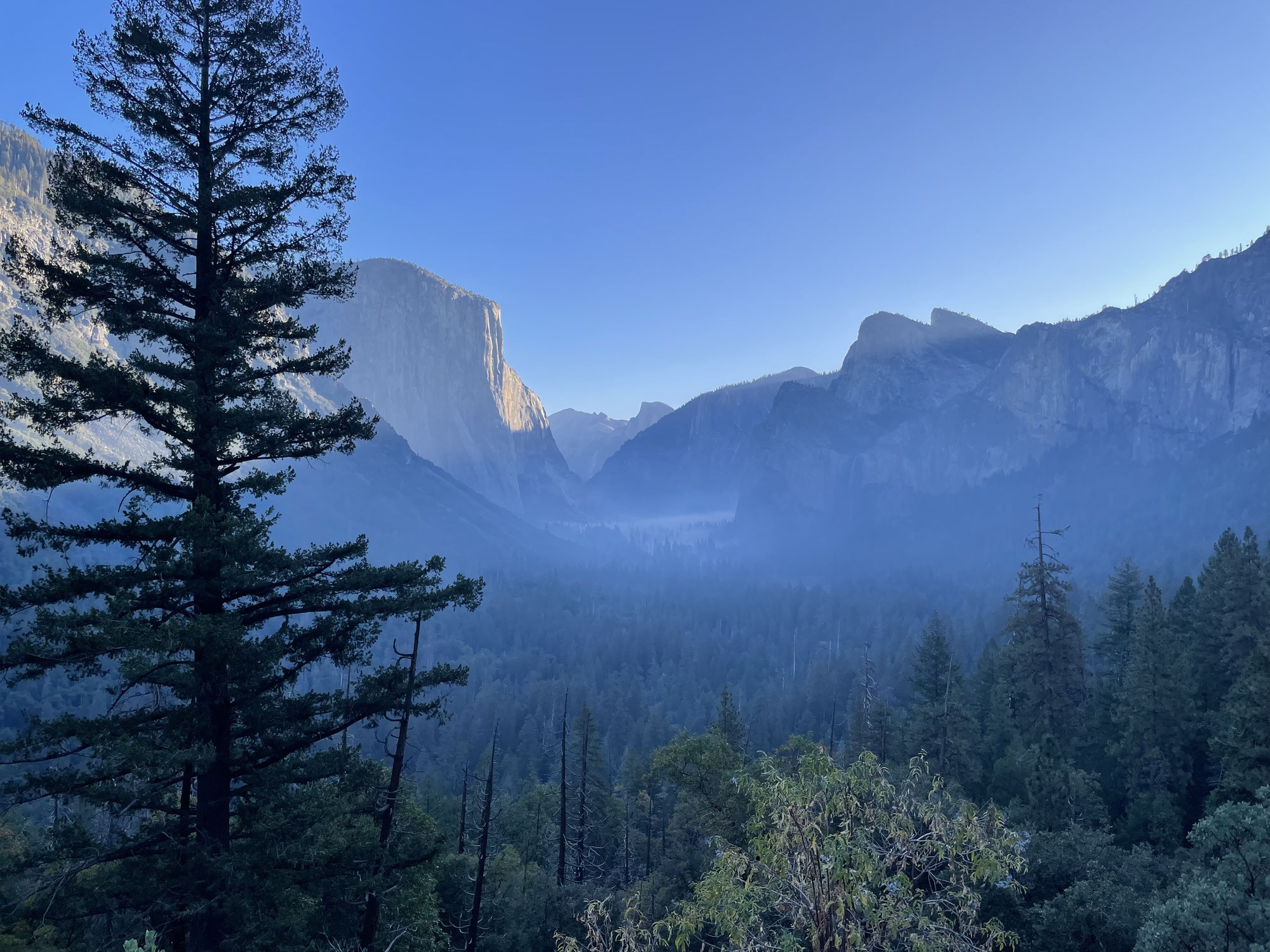 Yosemite National Park