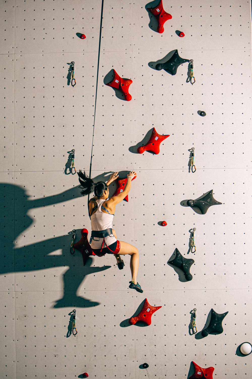 Newsletter Rentrée 2025 - Horizon vertical