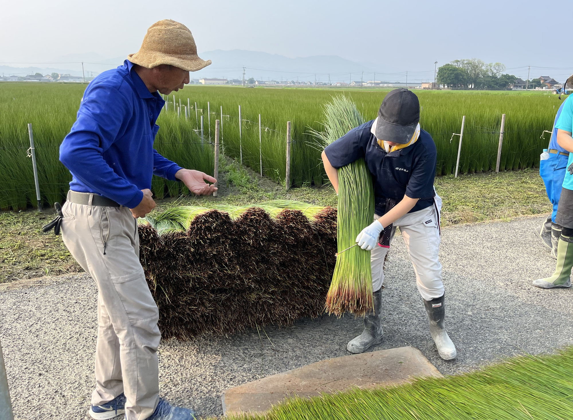肥後物産通信7月号「令和7年夏季産地研修報告」