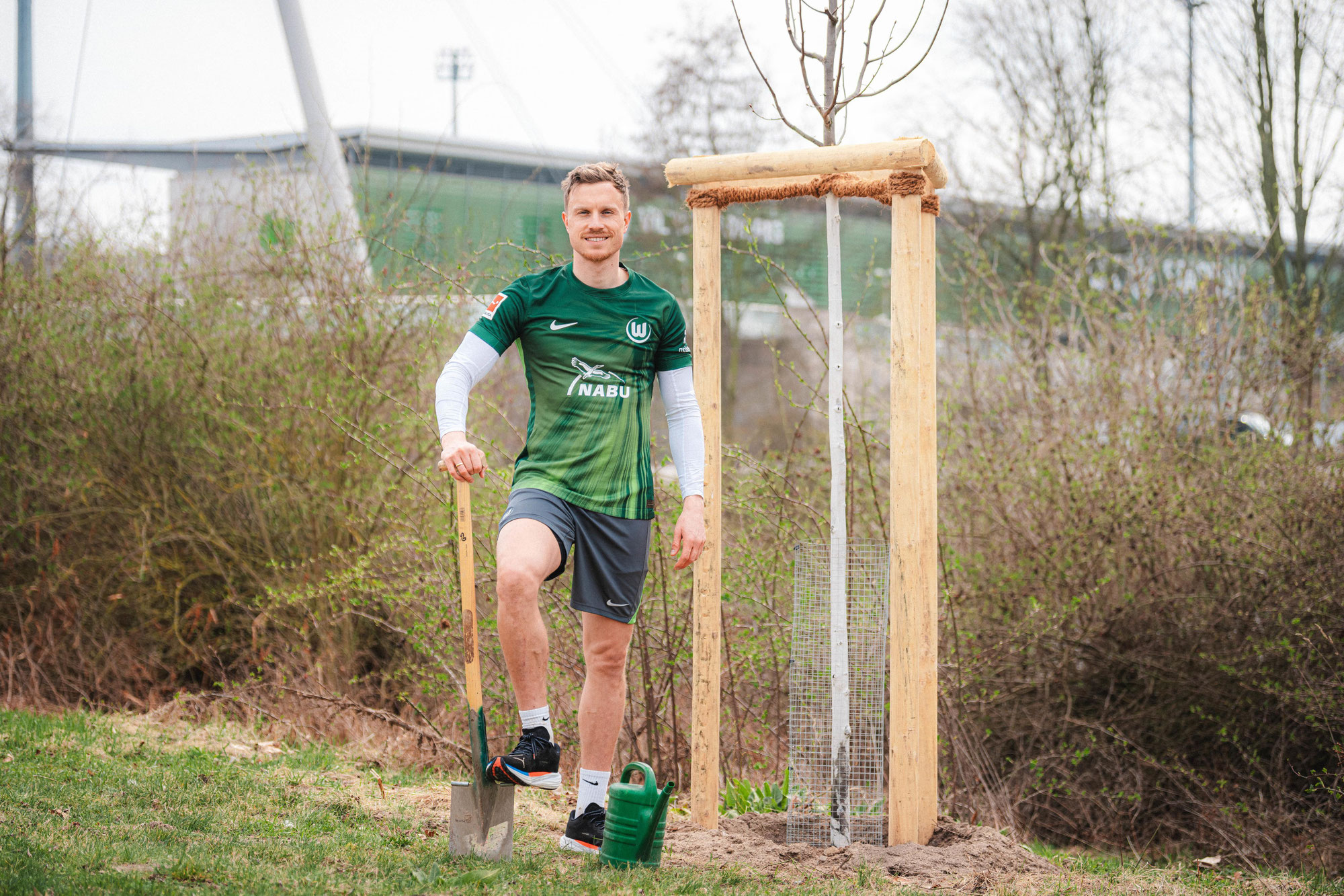 Wölfe spielen mit dem Storch auf der Brust