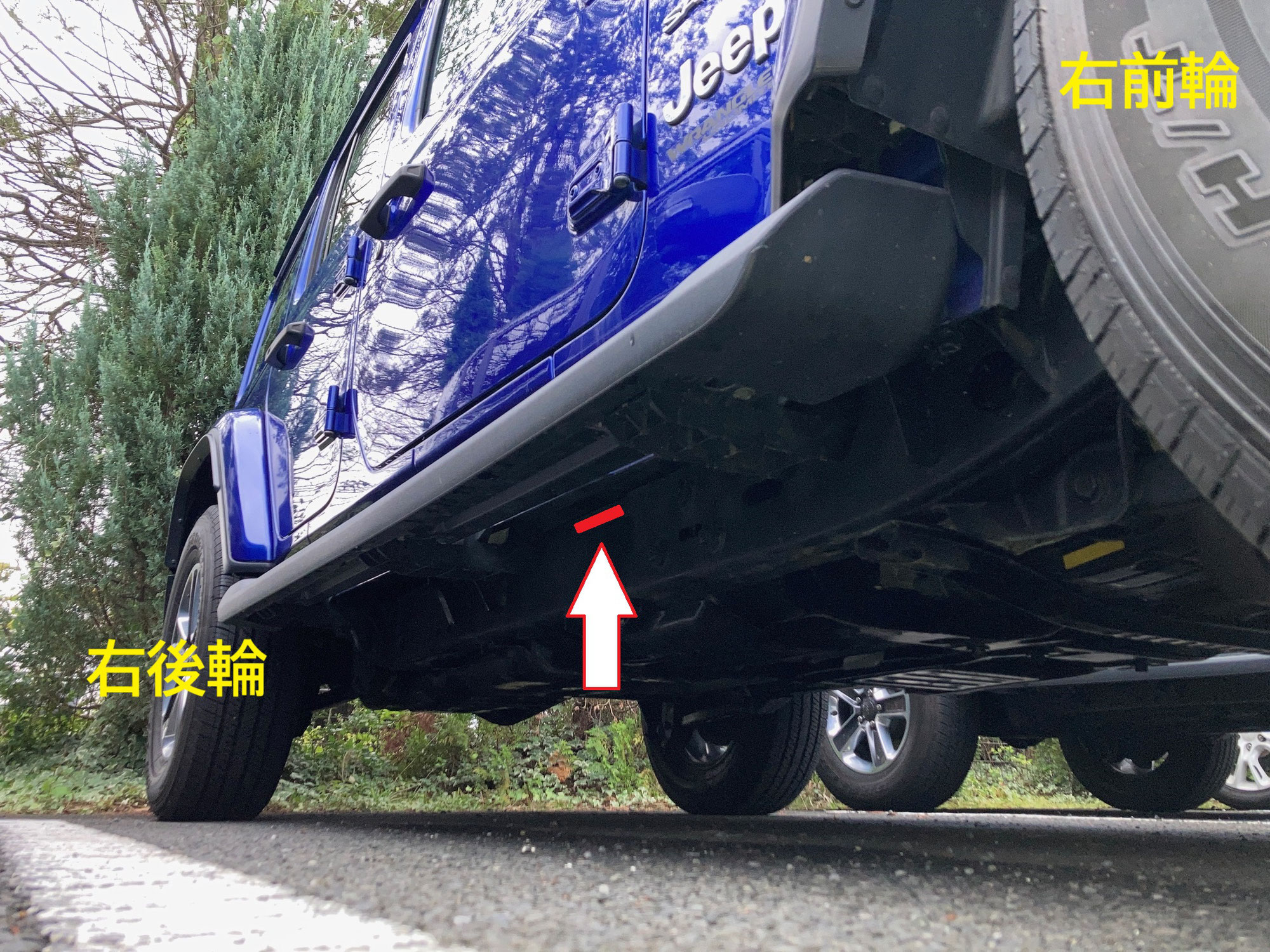 ＪＥＥＰ　ラングラー