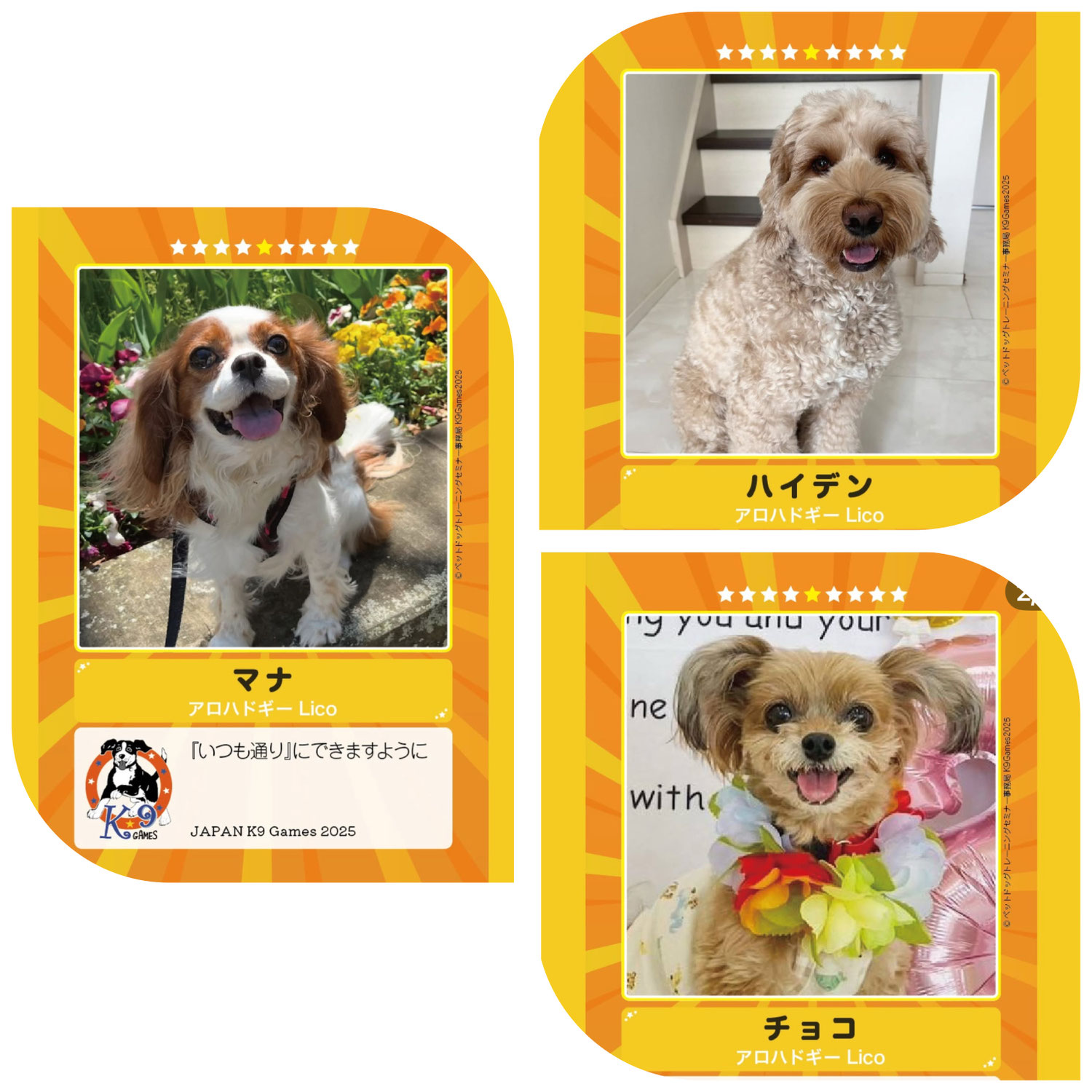 明日は【2025K９ゲーム公式大会】が開催されます♪　　犬のしつけ教室＠アロハドギー