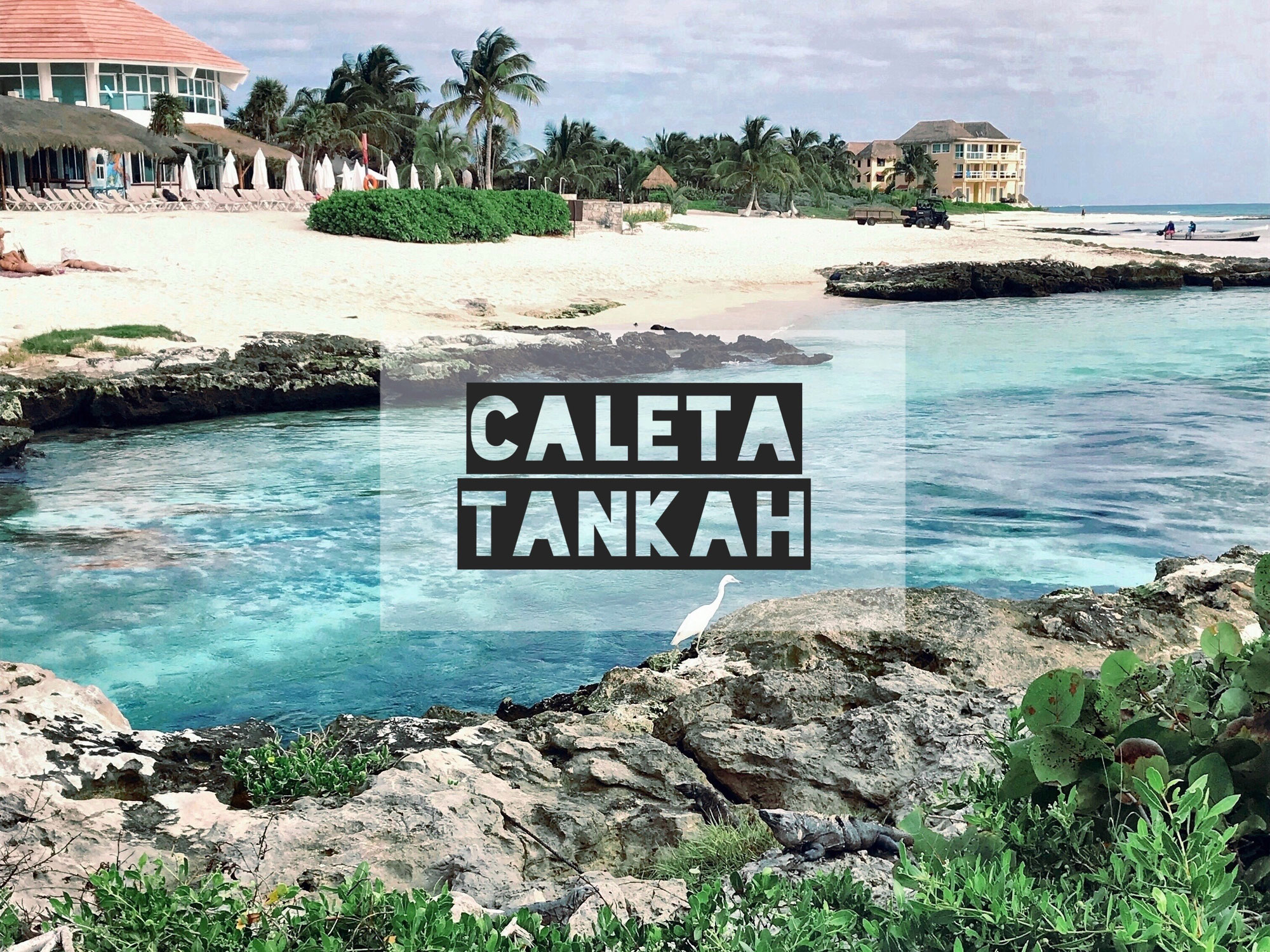 Caleta Tankah ☀ der schönste Beachclub für Familien - nur 6 km von Tulum!
