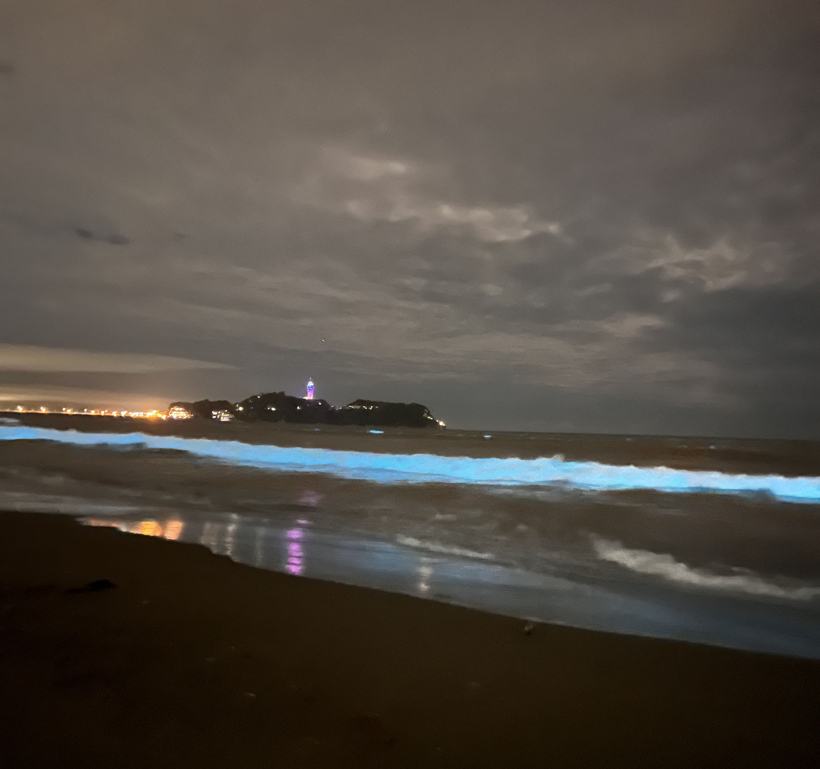 【地元の海が青く染まる】友人からの情報で急行！鵠沼海岸の幻想的な夜光虫