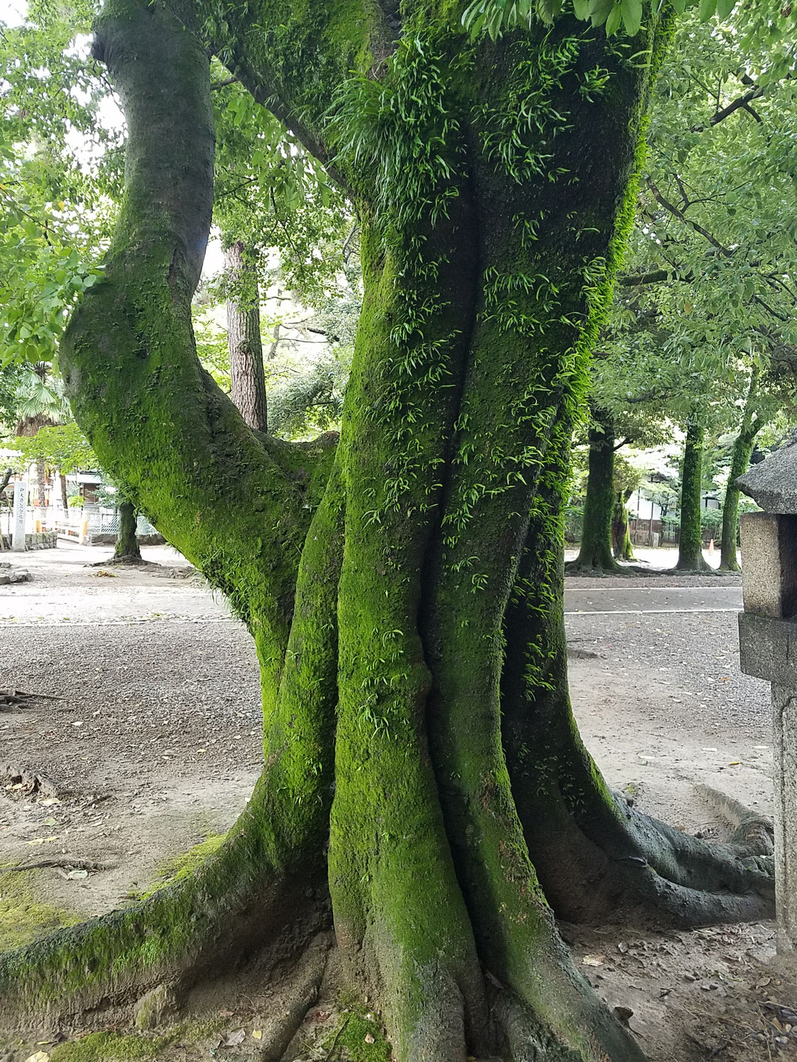 今伝えたいこと・知ってほしいこと