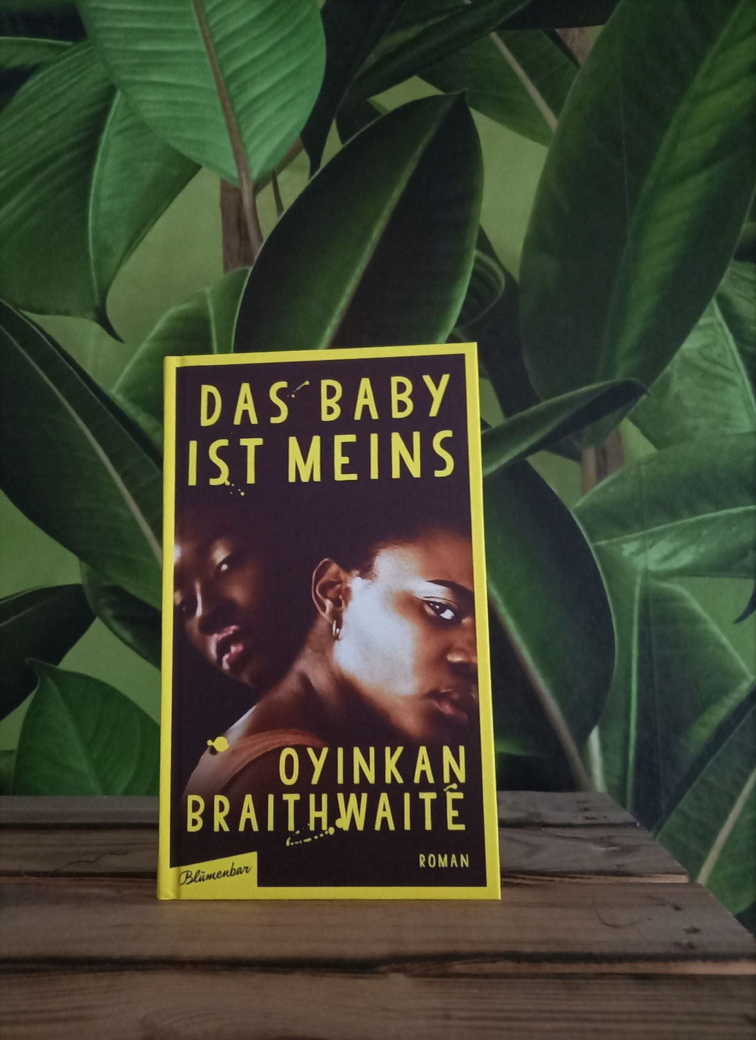 Das Baby ist meins von Oyinkan Braithwaite