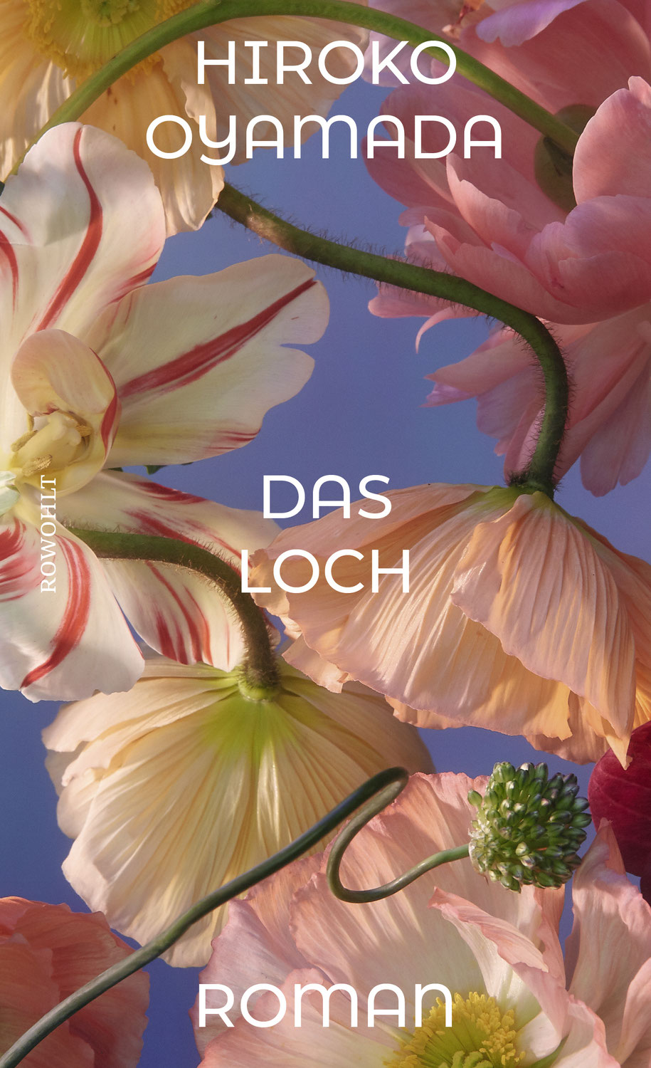 Buchrezension:"Das Loch" von Hiroko Oyamada