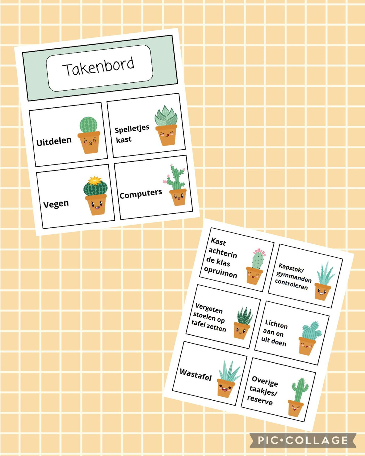 Takenbord thema cactus